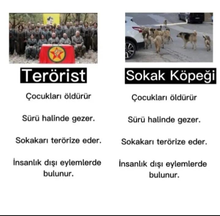 @BabanneTokatlayici