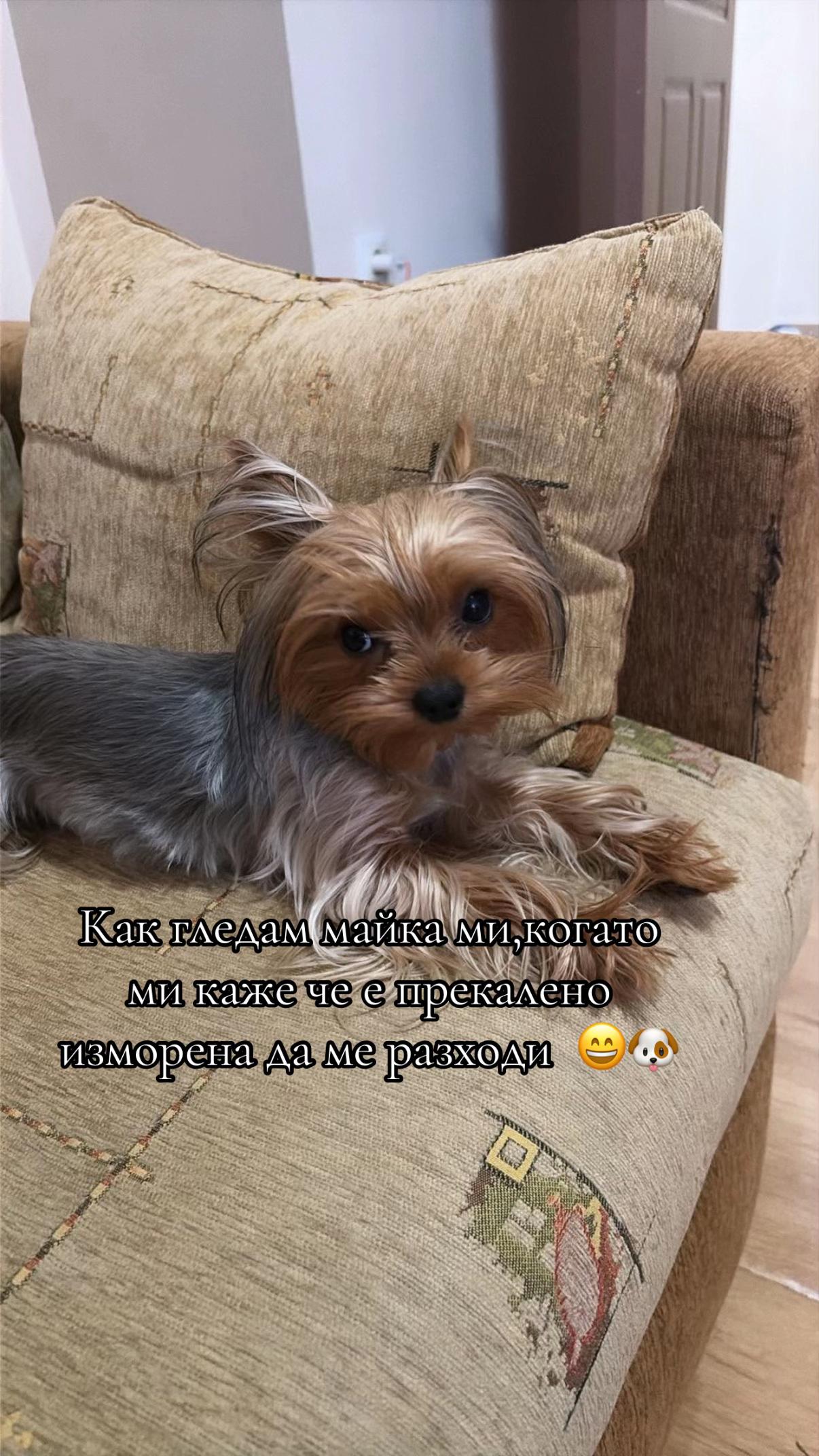 @R.Andonovva