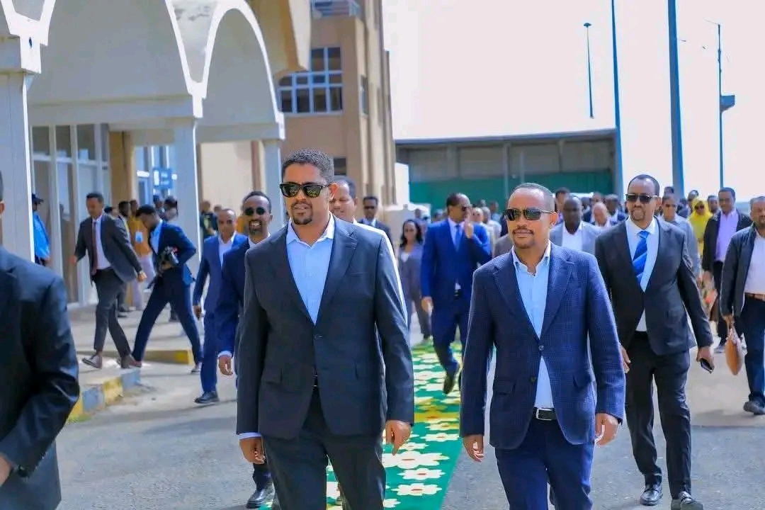@Shimallis Abdisa Parody