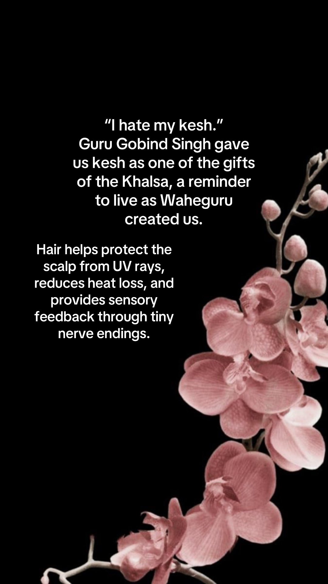 @sikhi ིྀ ☬