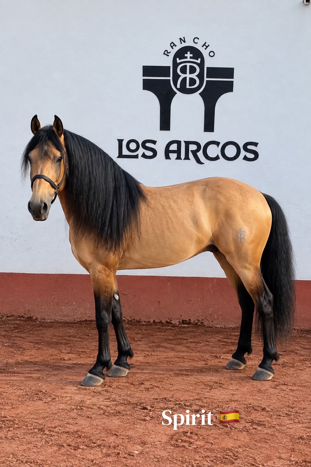 @Rancho los Arcos