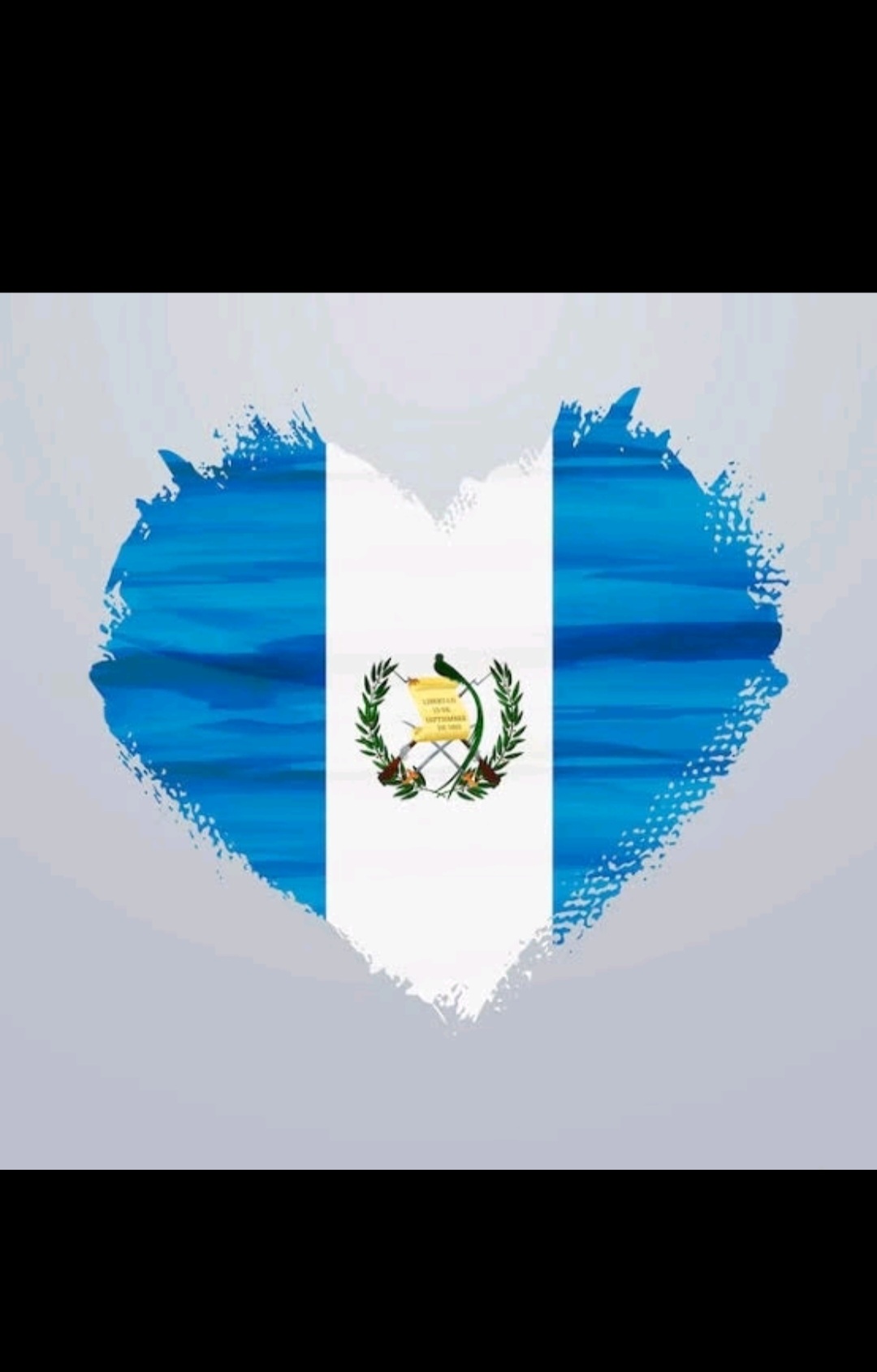 @salvador.gonzalez542
