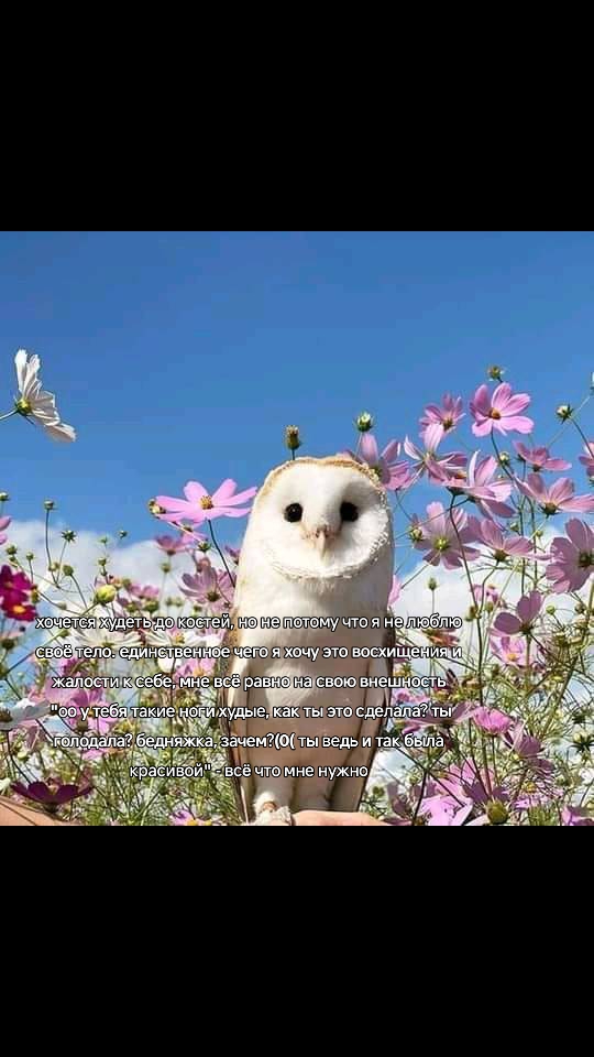 @тайлер сочный