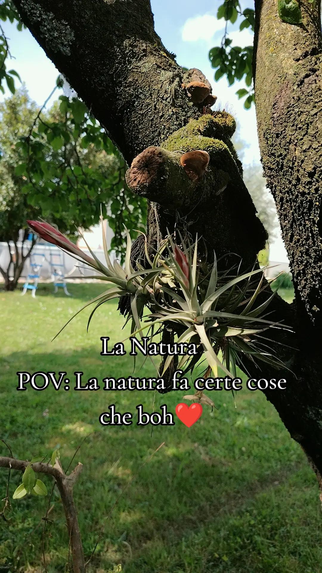 @Martinez Lia