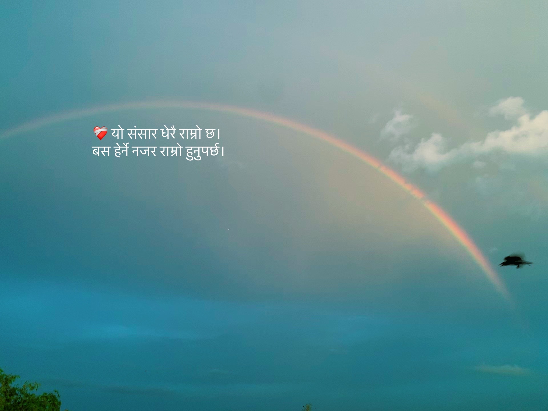 @नवRaaj🐾