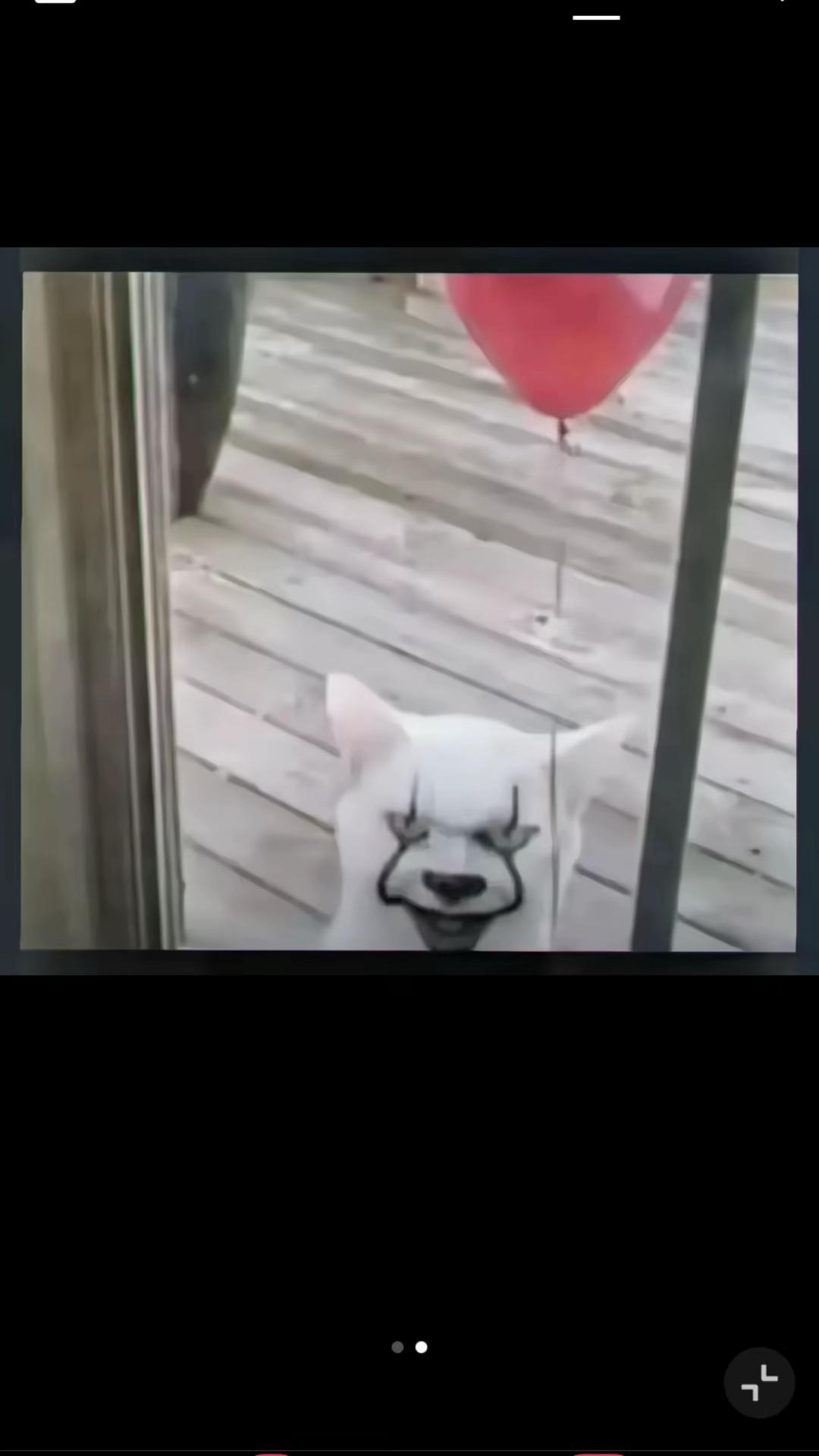 @Digger_stav