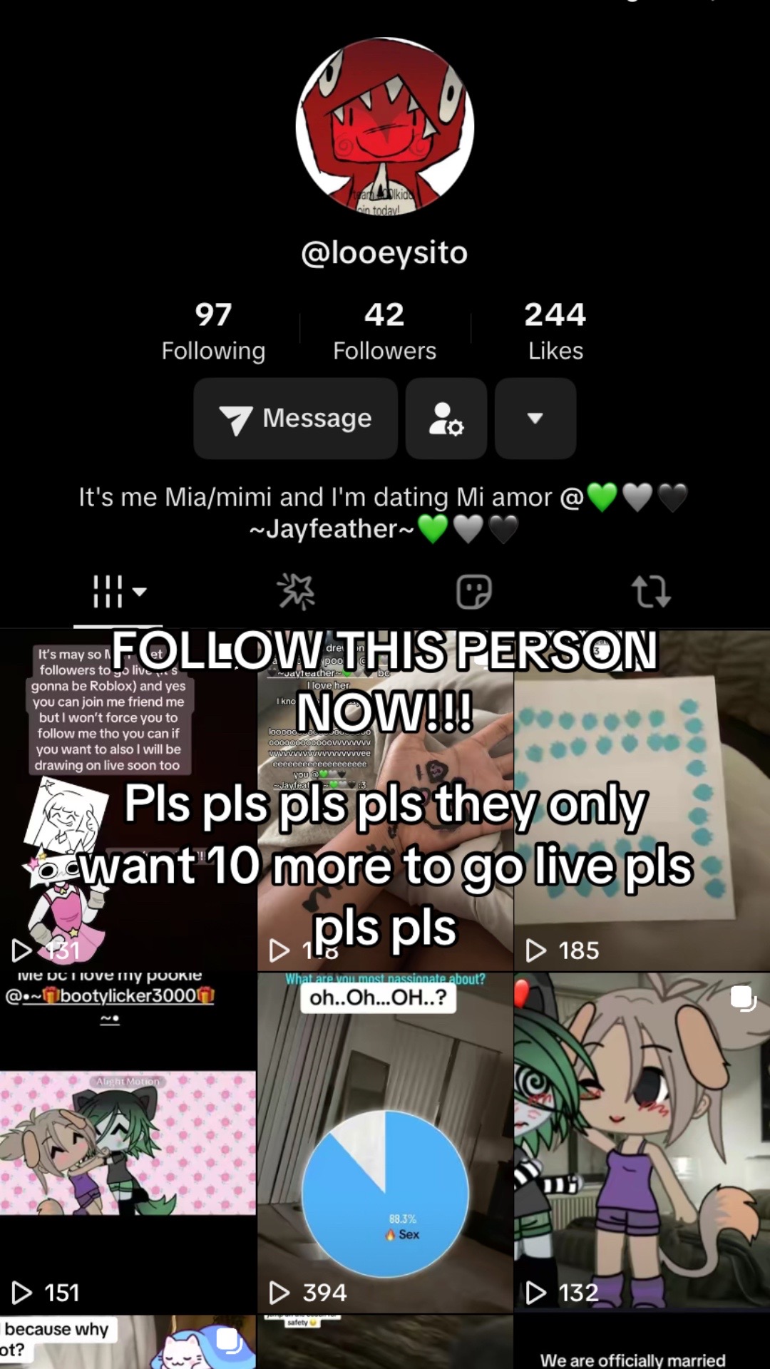 @๐๐ฉถ๐ค~Jayfeather~๐๐ฉถ๐ค