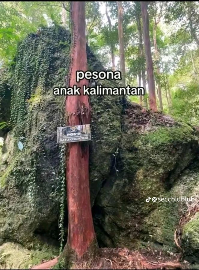 @Faisal🤏