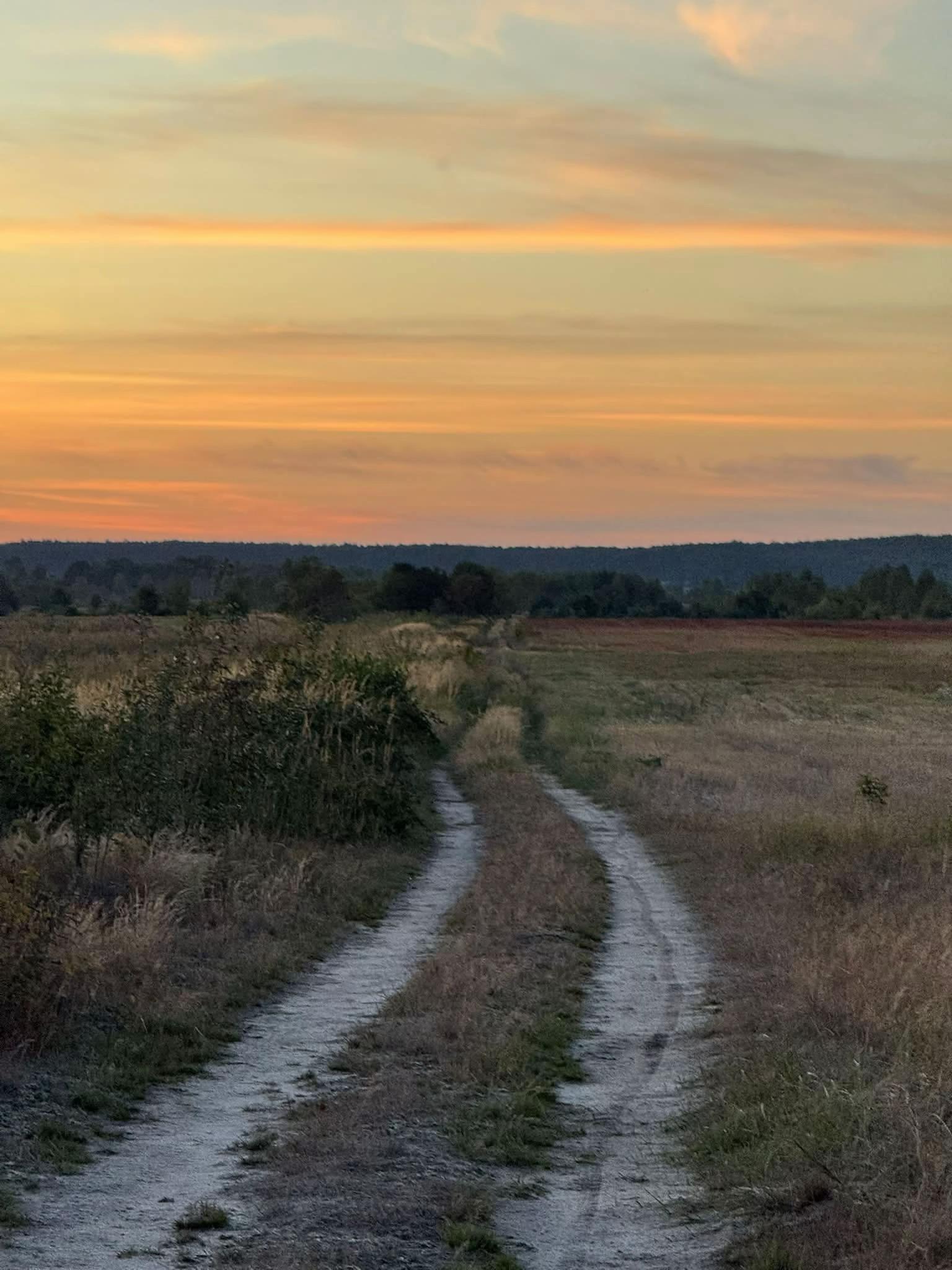 @Віктор