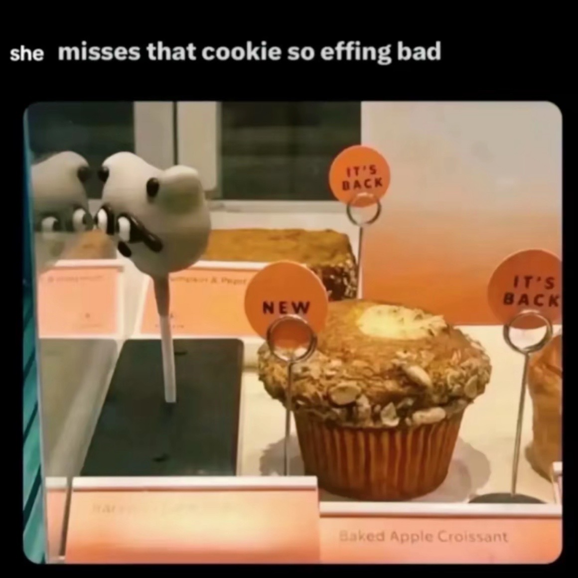 @๐ซโพ๐ธ๐๐๐๐๐๐โฉ๐ซ