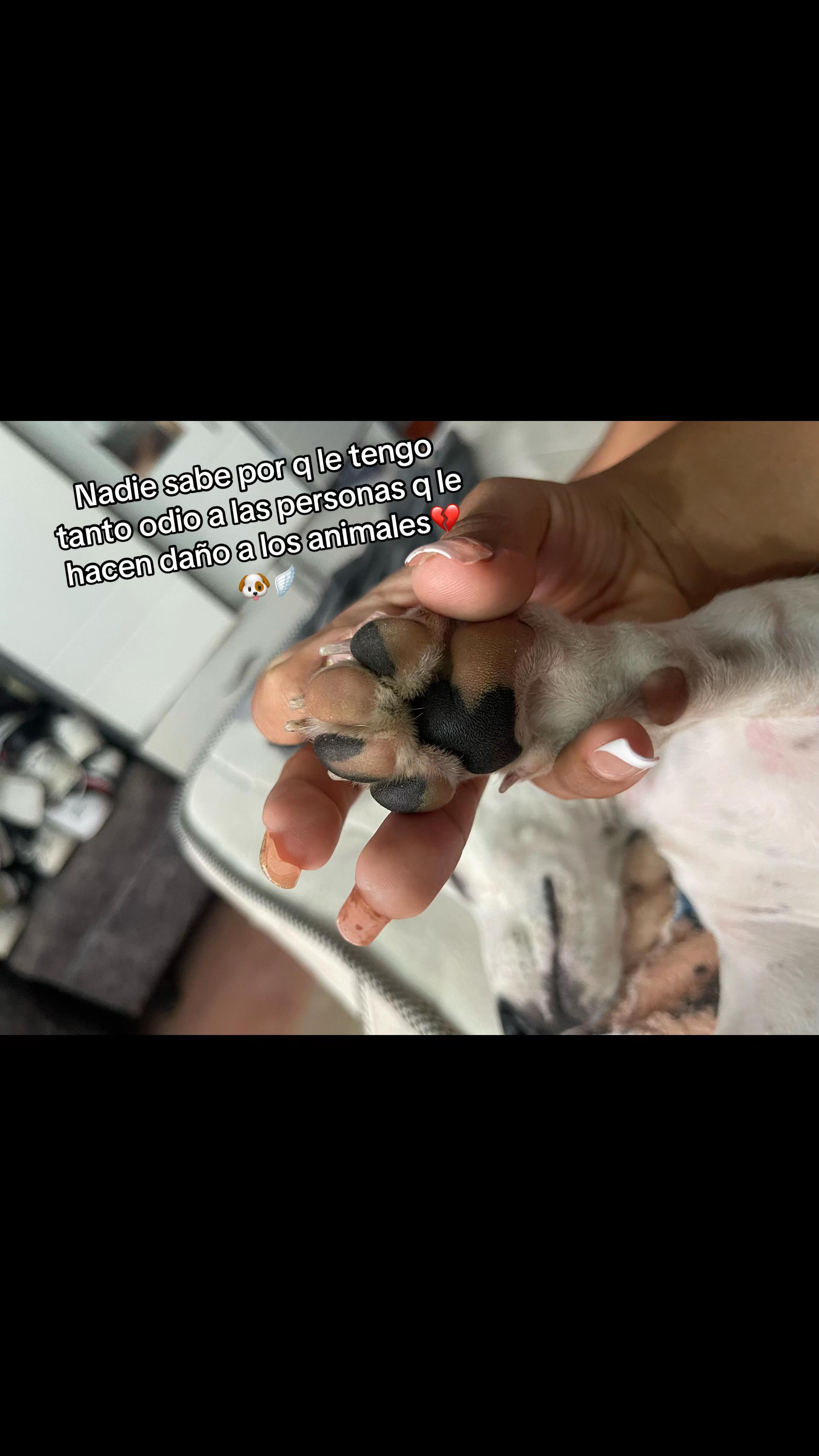 @๐๐ฝโ๏ธ