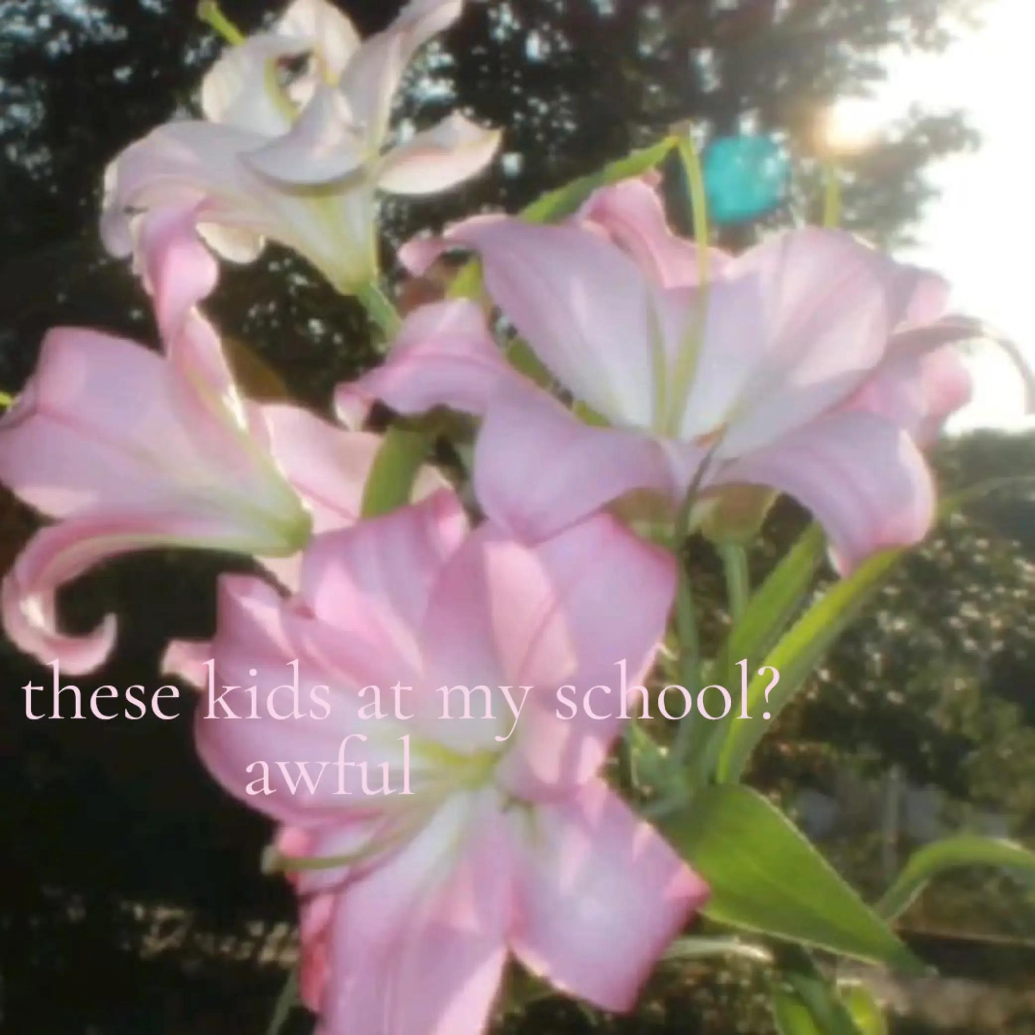 @SAK_§