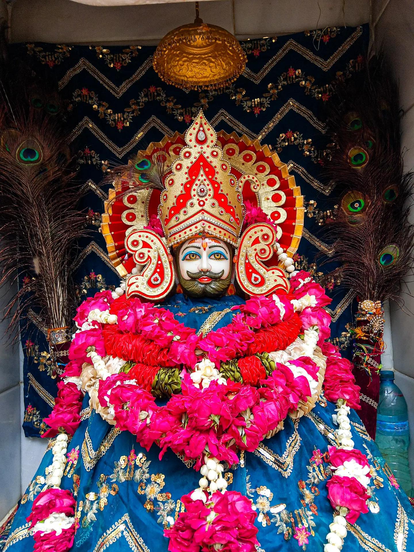 @shree shyam premi🫶🚩🕉️✨