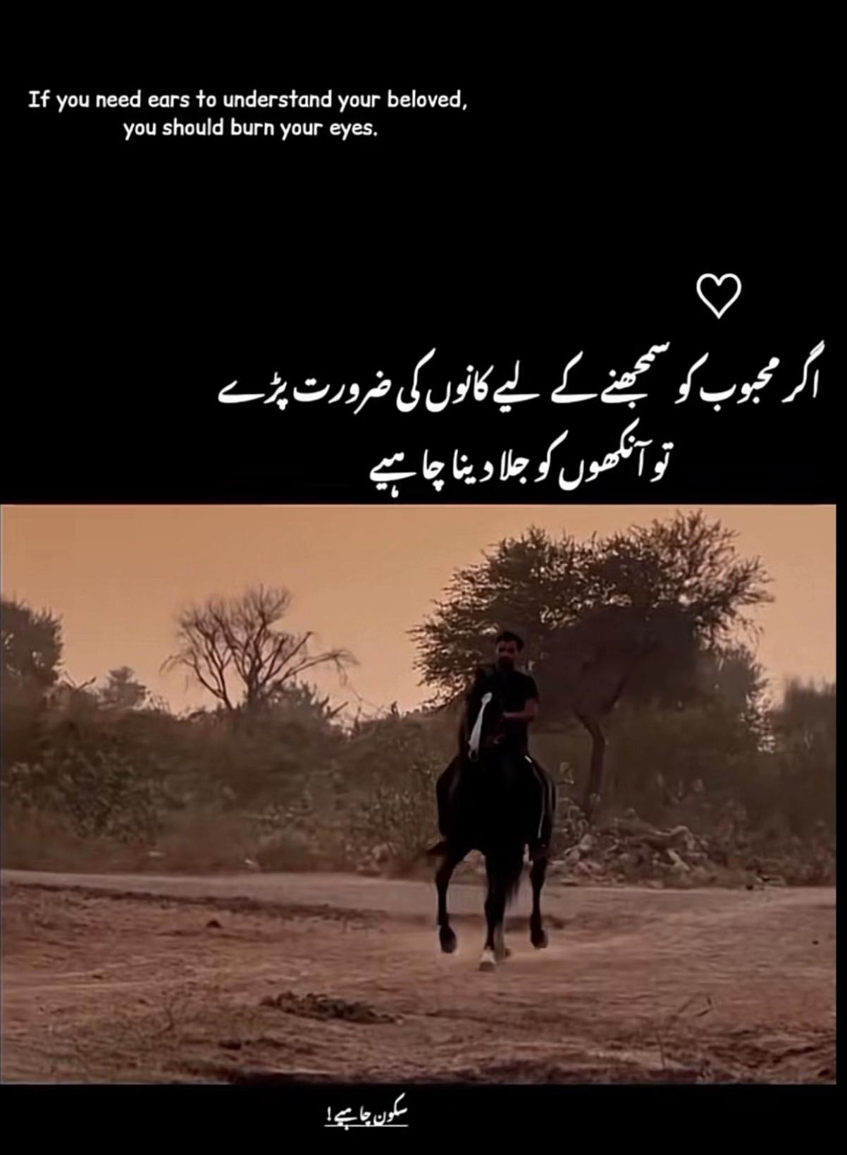 @عمارہ چیمہ🦢