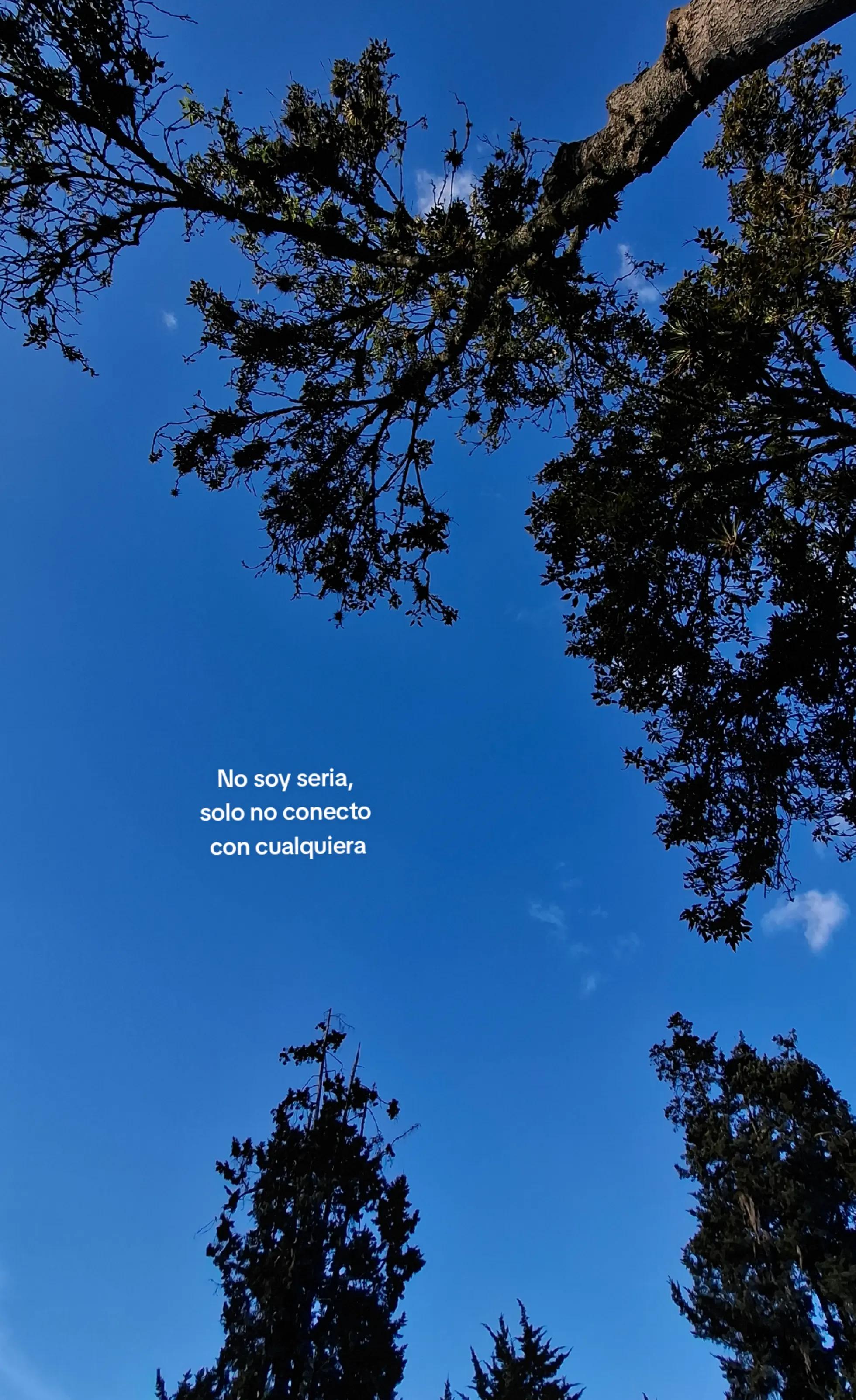 @𝐹𝑒𝑟𝑛𝑎𝑛𝑑𝑎 🌷