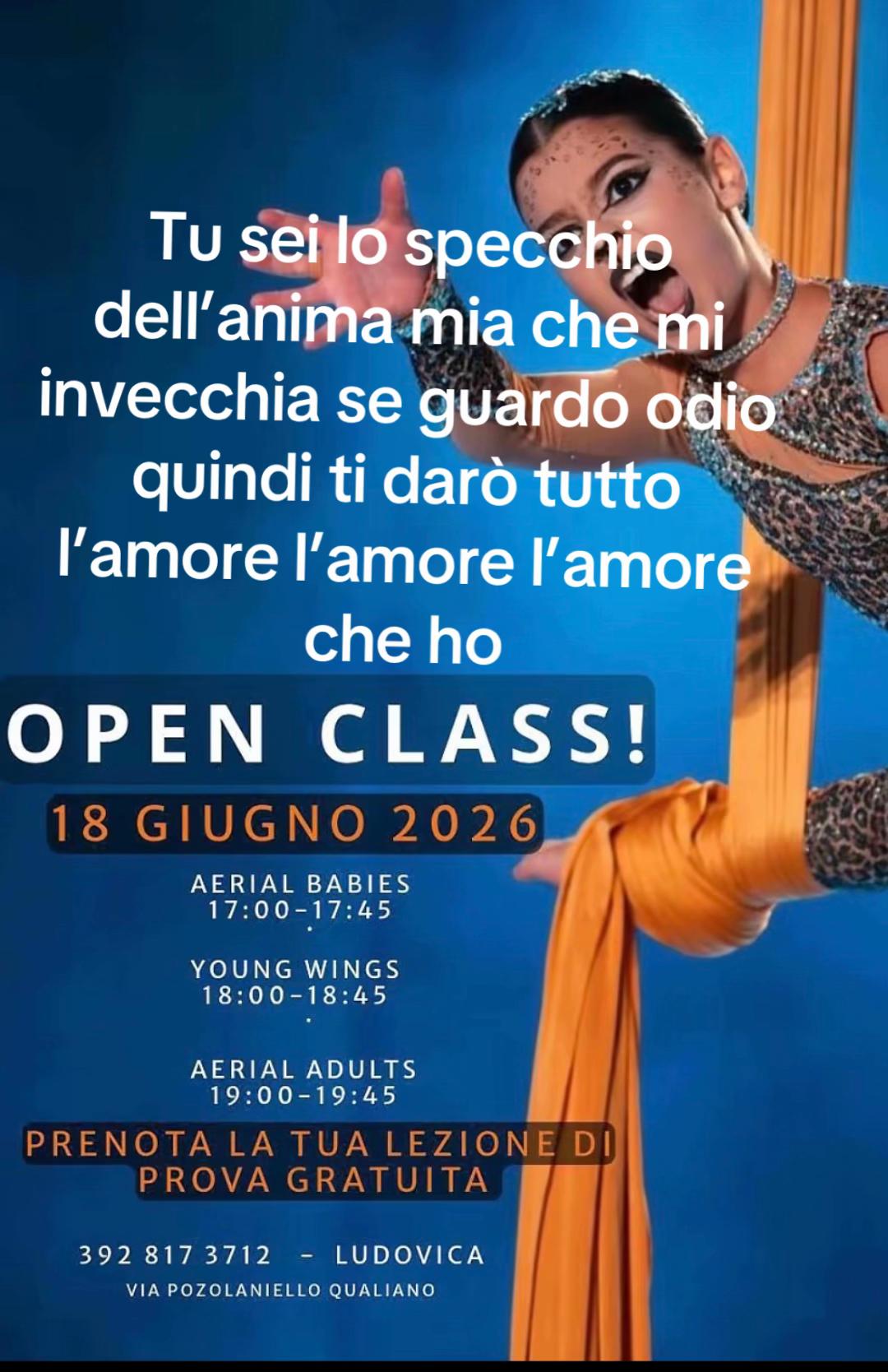 @aerialleopard