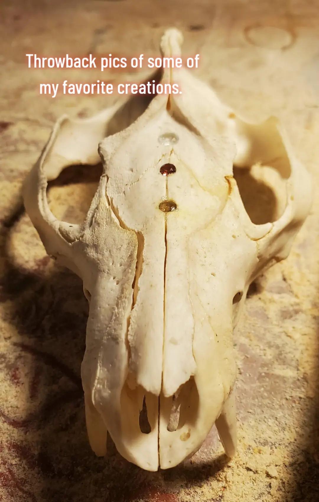 @These Old Bonez