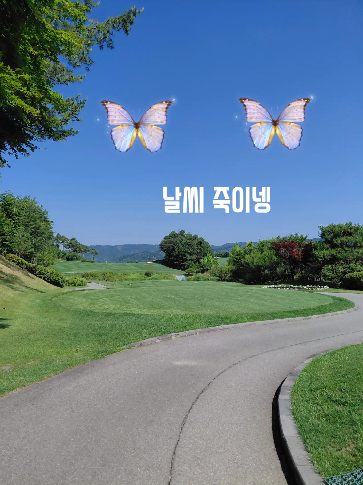 @서영9076