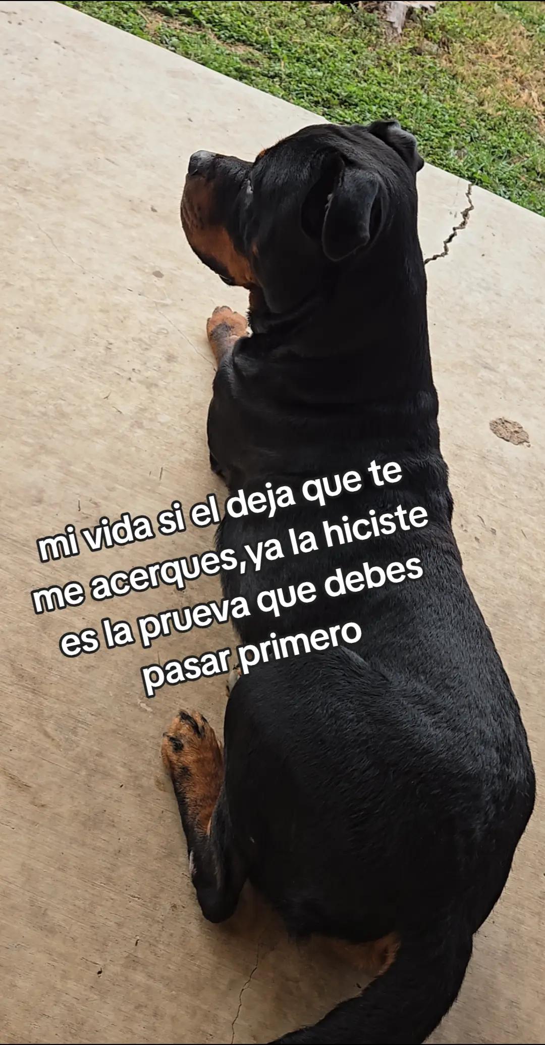 @Nathaly