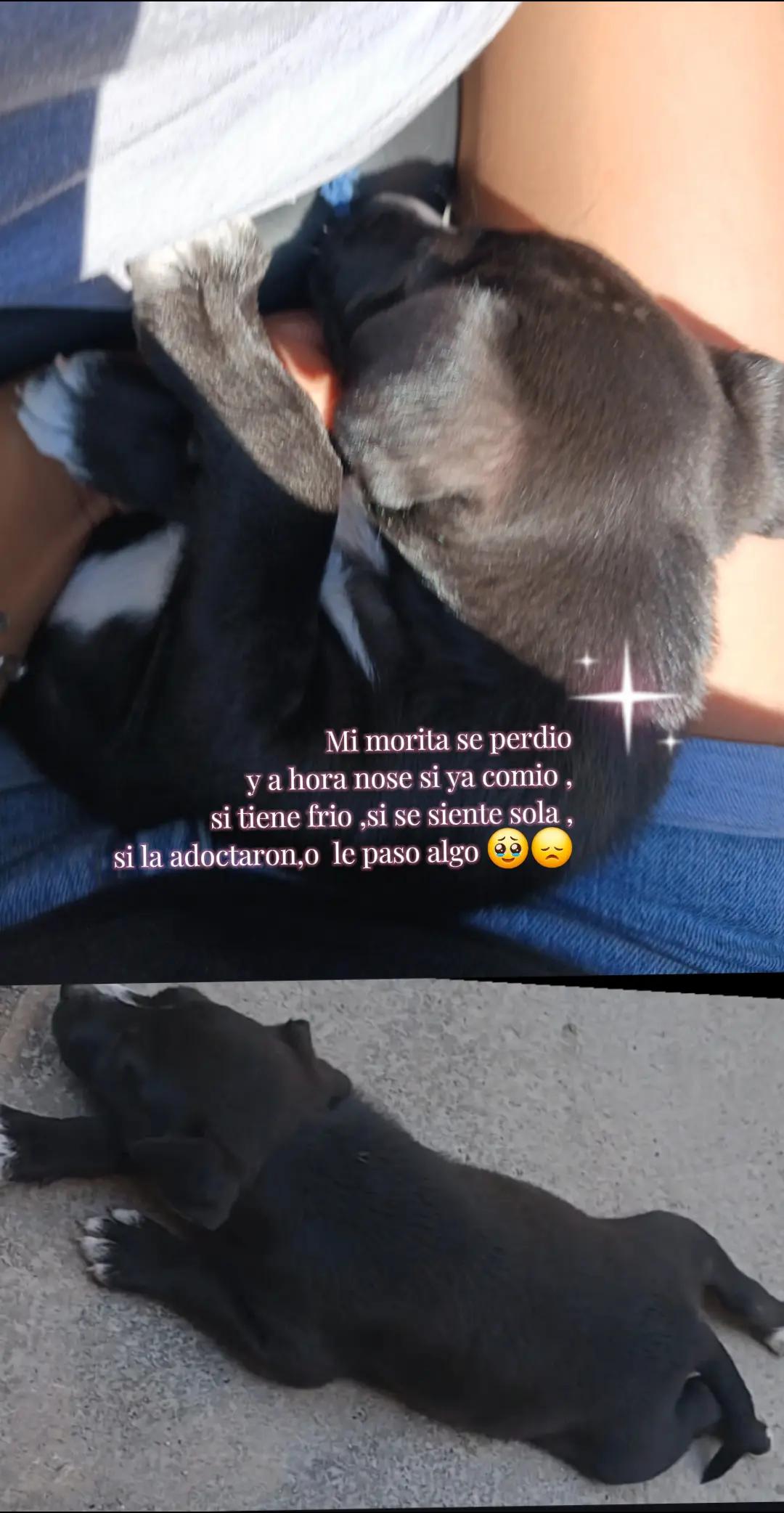 @La joselin