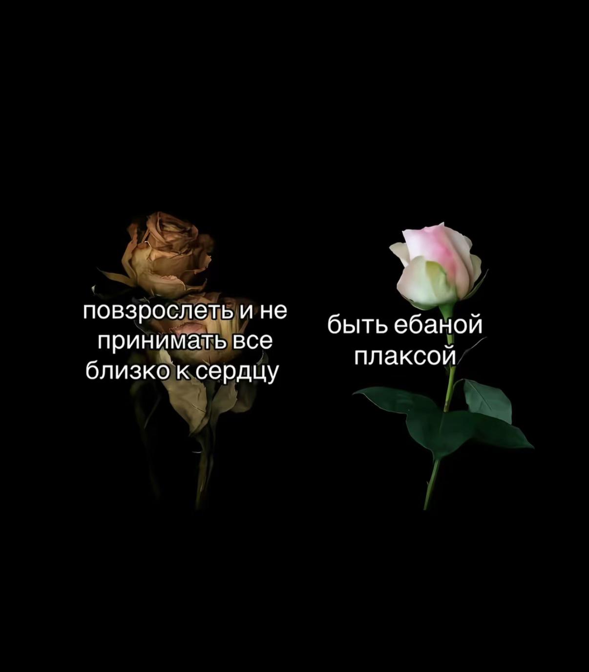 @тгк:lann.vw