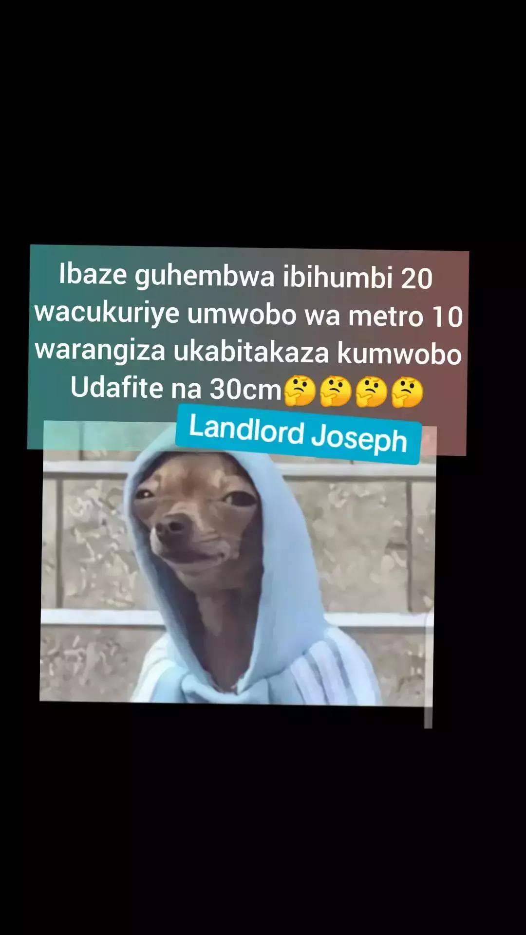 @landlord👞💎 Joseph