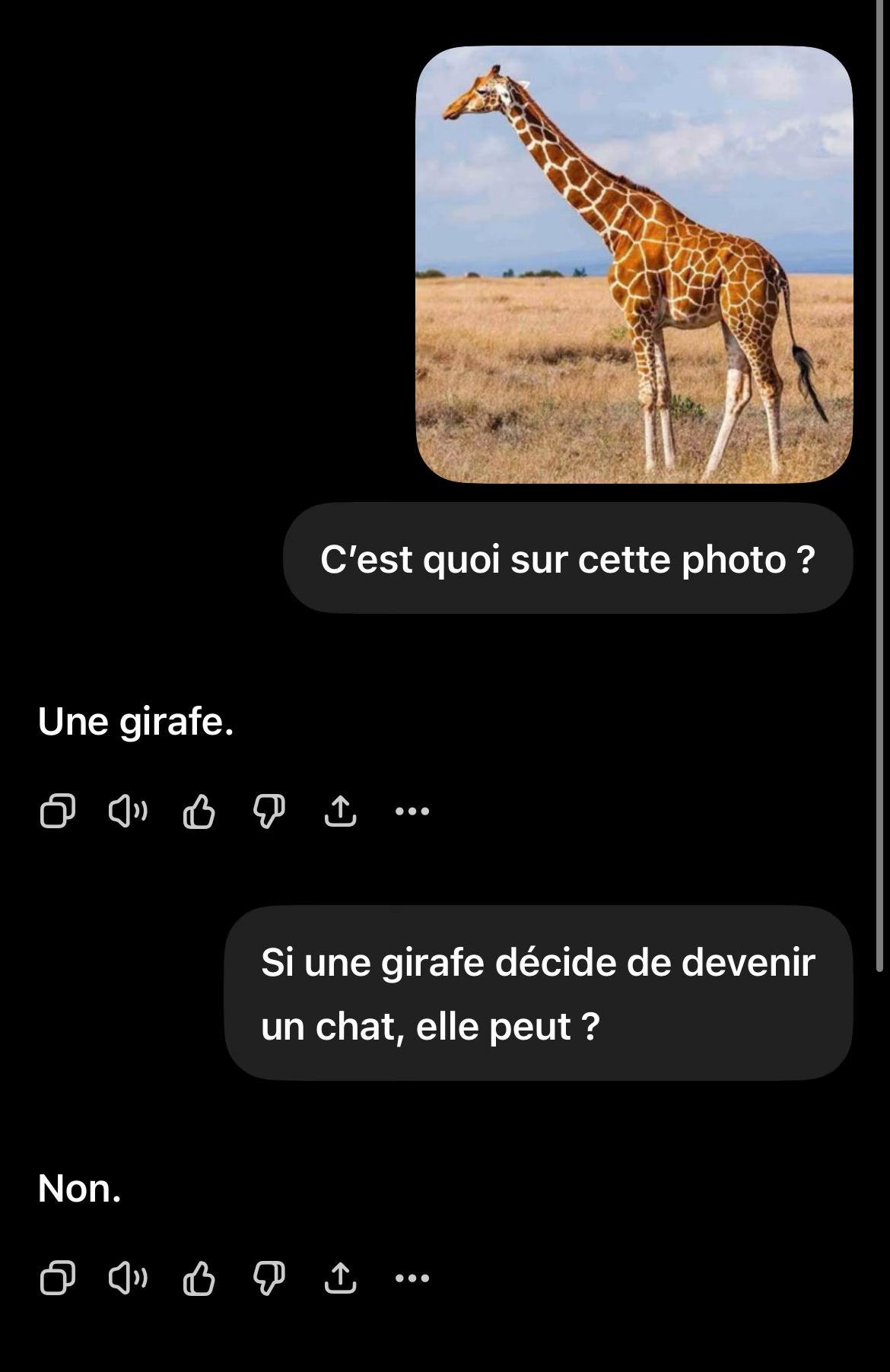 @YaSsInE | (&bull; ◡&bull;)| &bull; Amis