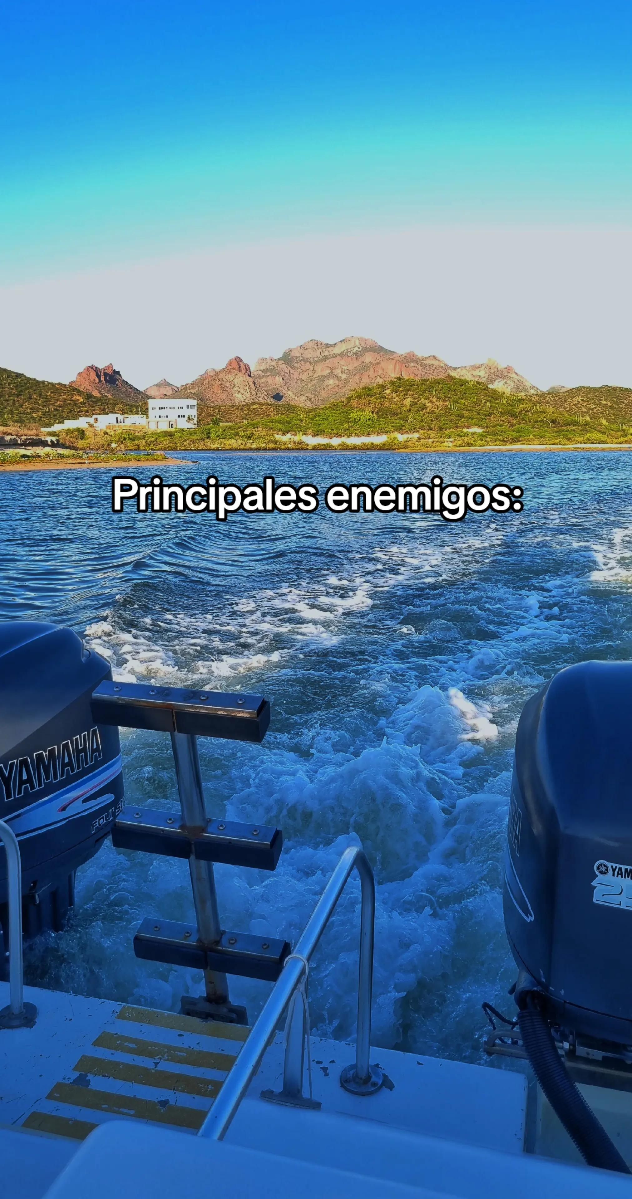 @Enrique A. 🦦