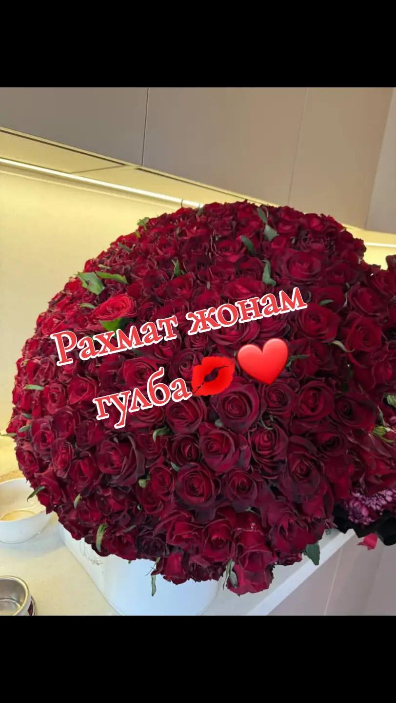 @🫴Арабиянка🫶Z💞G🫰
