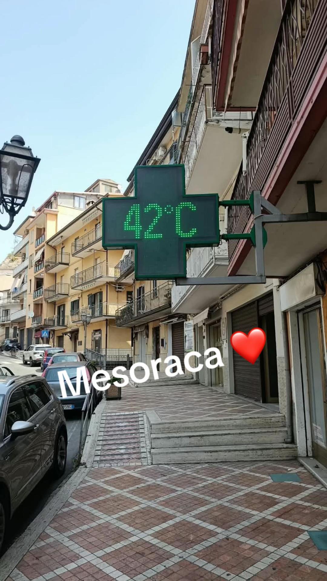@rosa74