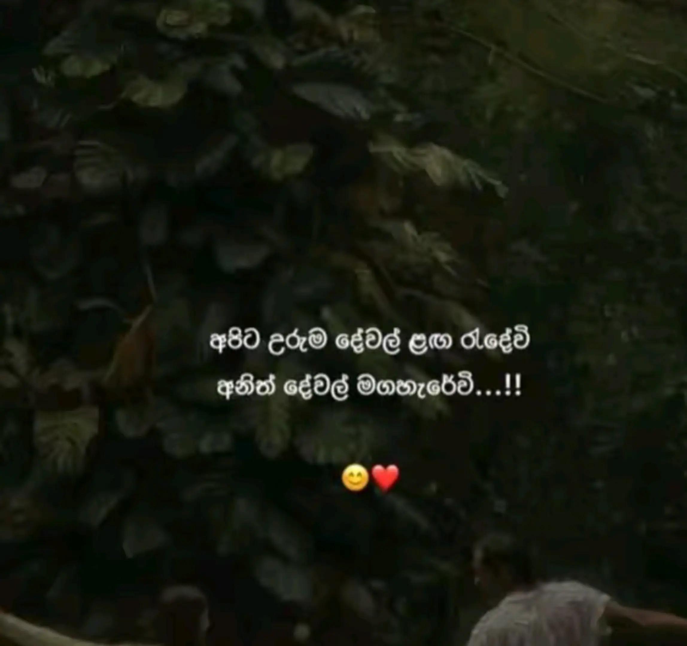 @💜🩵 ZSa`p´`u´_u🩵💜️☸️🇱🇰