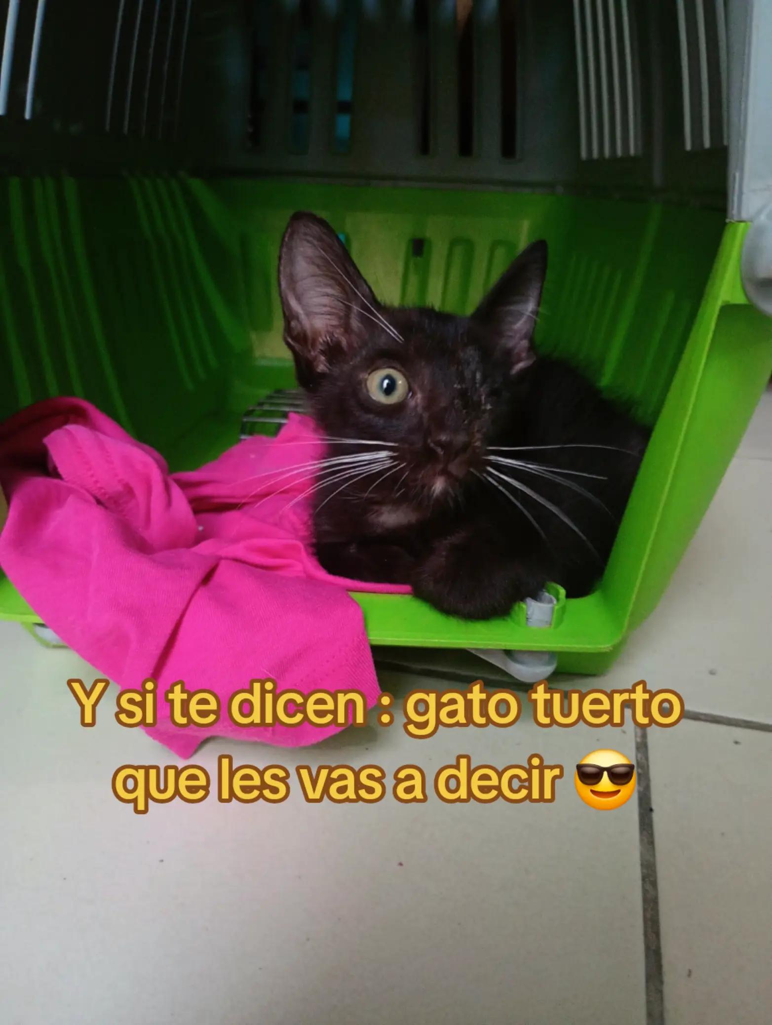 @🌻ℂ𝕐ℕ𝕋ℍ𝕀𝔸🌻
