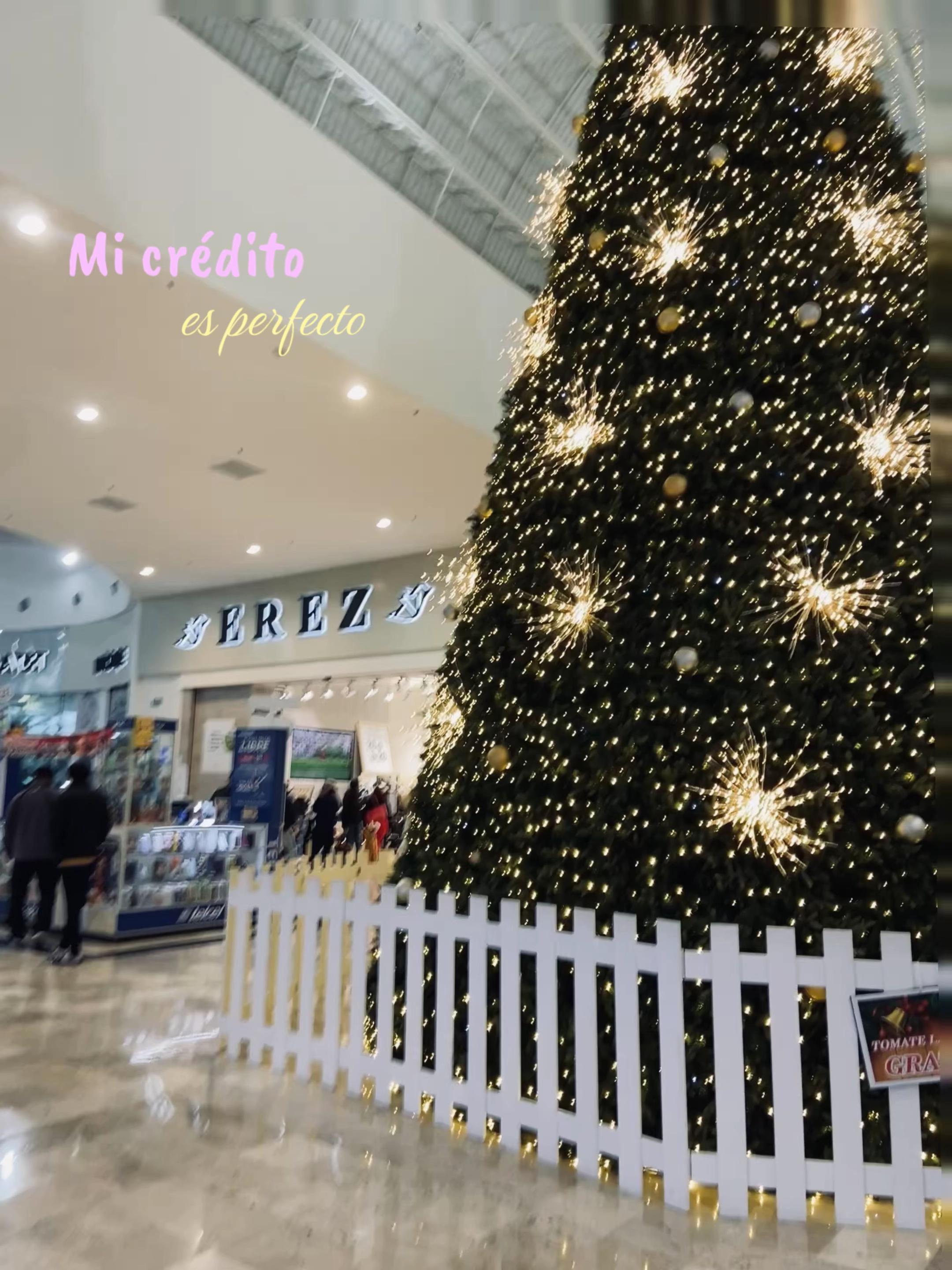 @𝓢𝓸𝓯𝓲