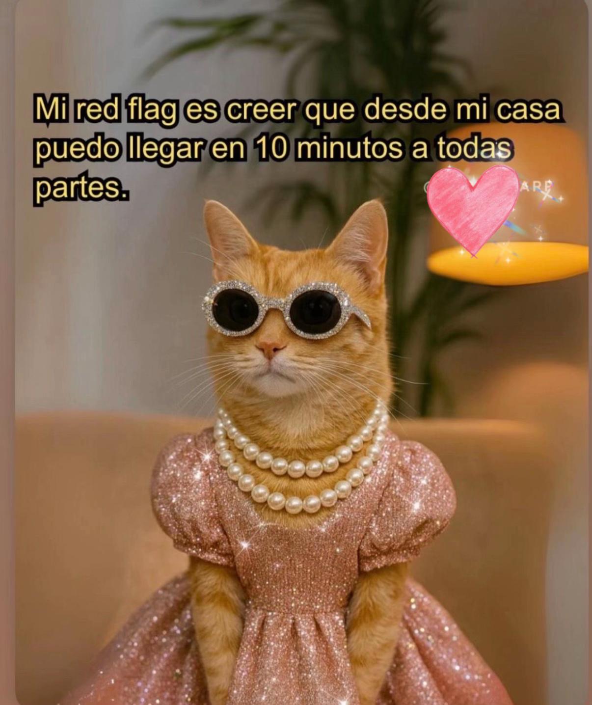 @Alexa Campos