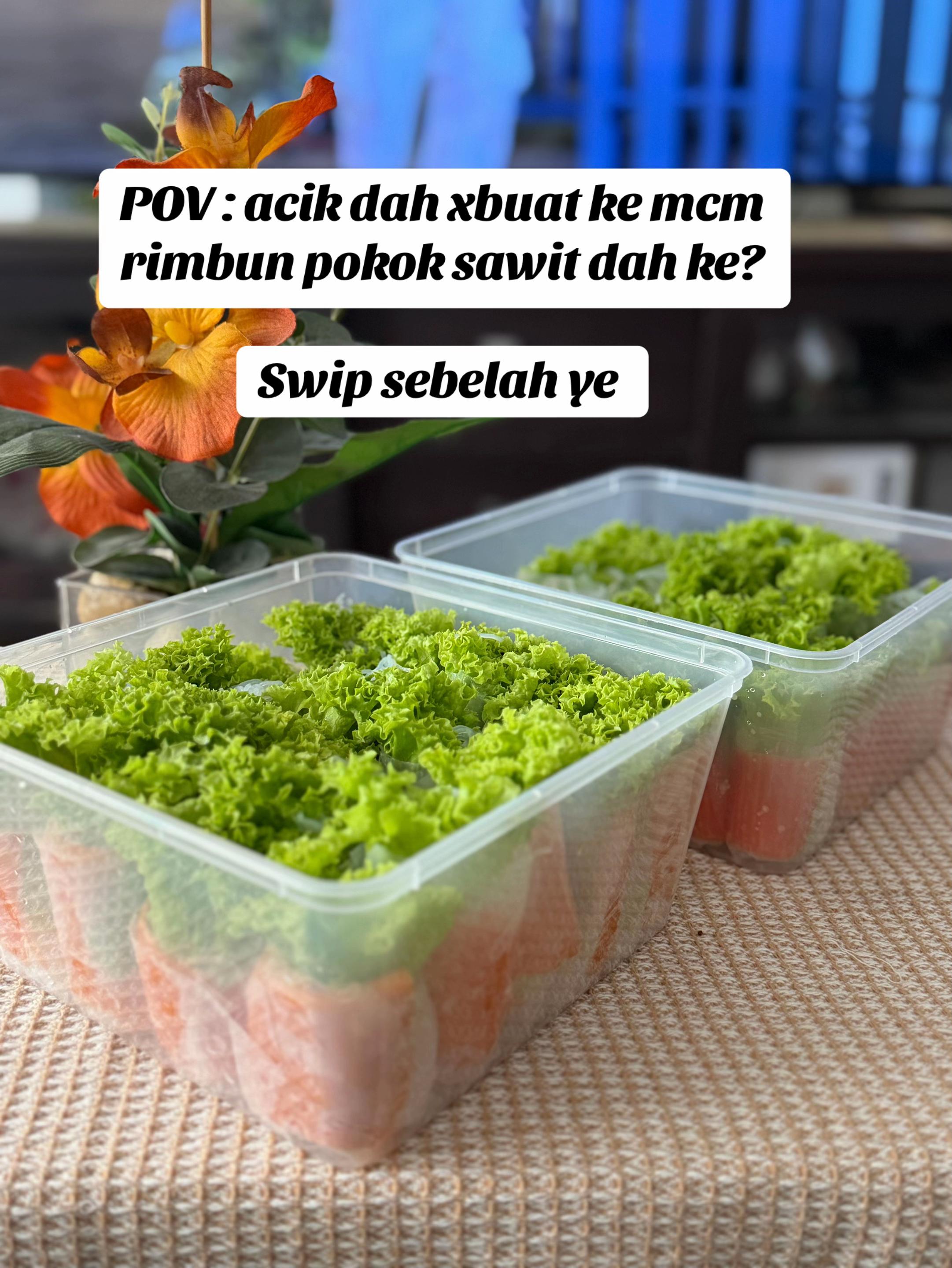 @Acik shenget Legasi