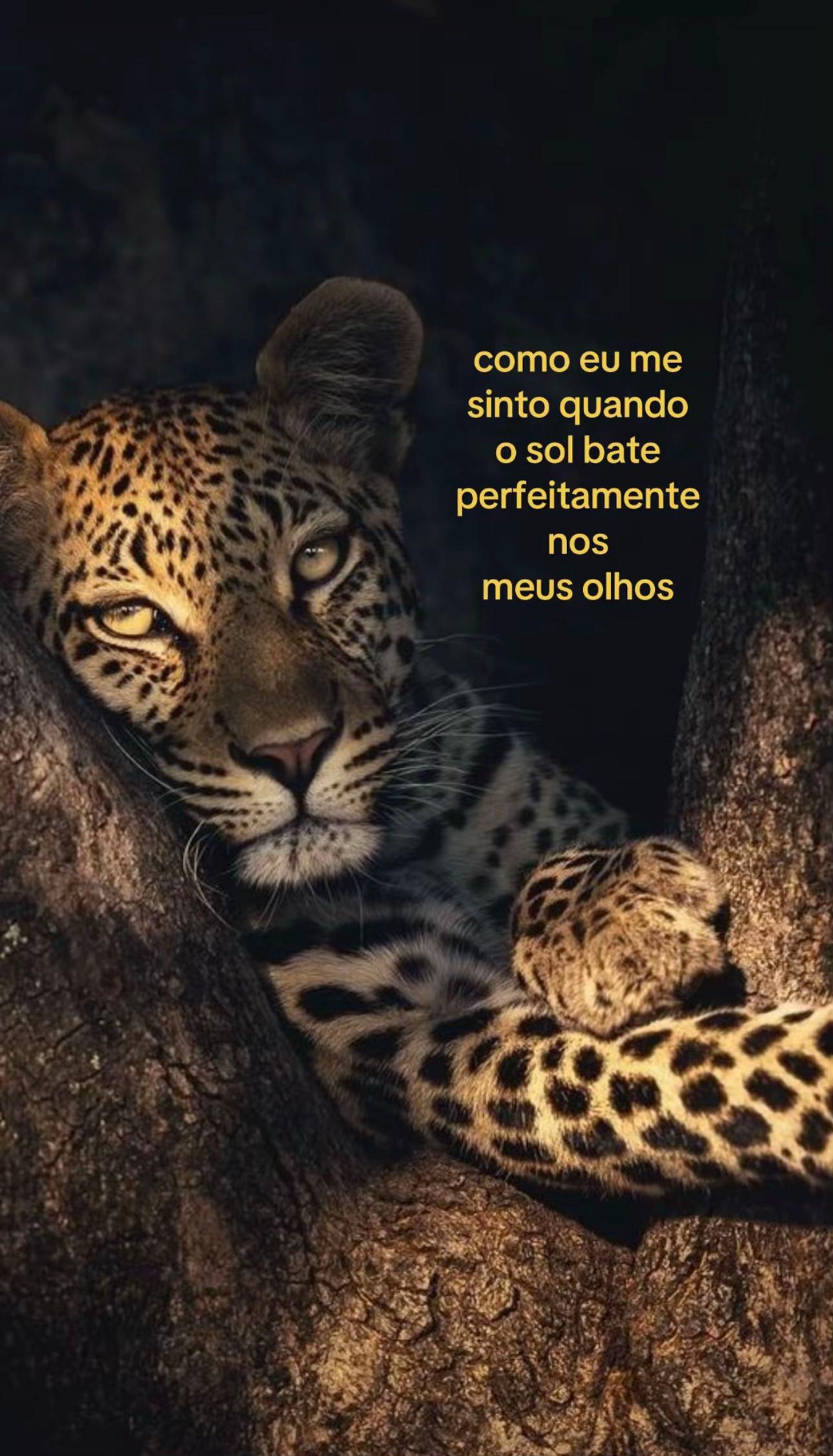 @tória