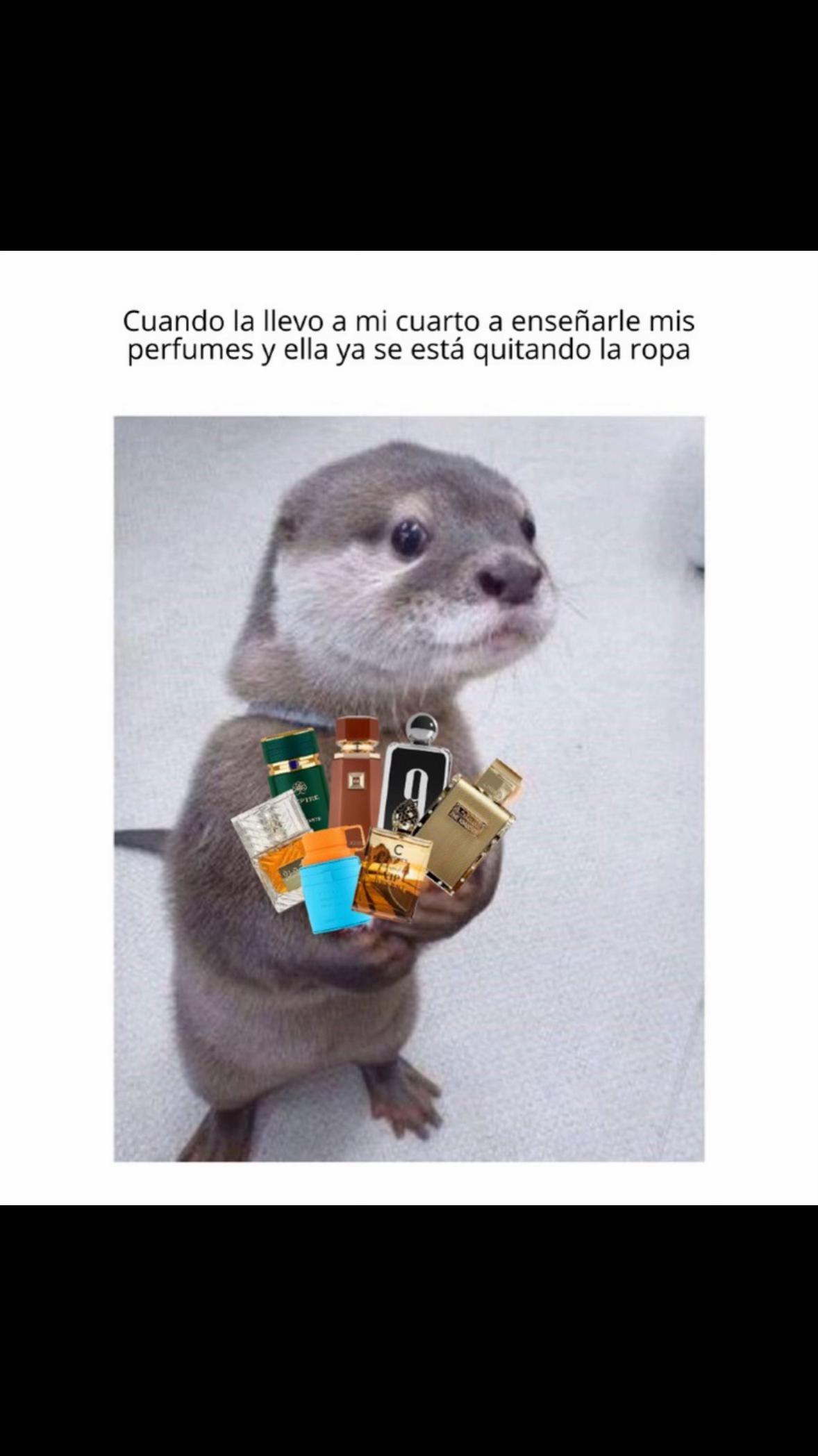 @Mal&uacute;_Perfumes
