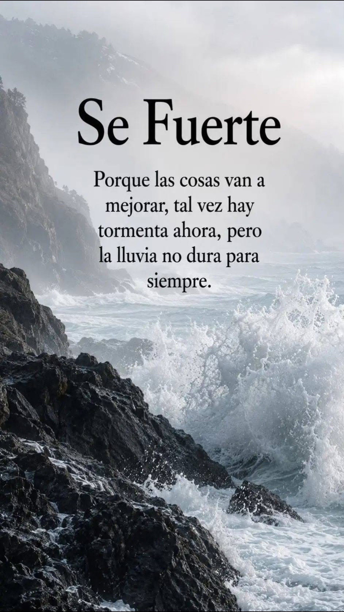 @Pedro Cruz