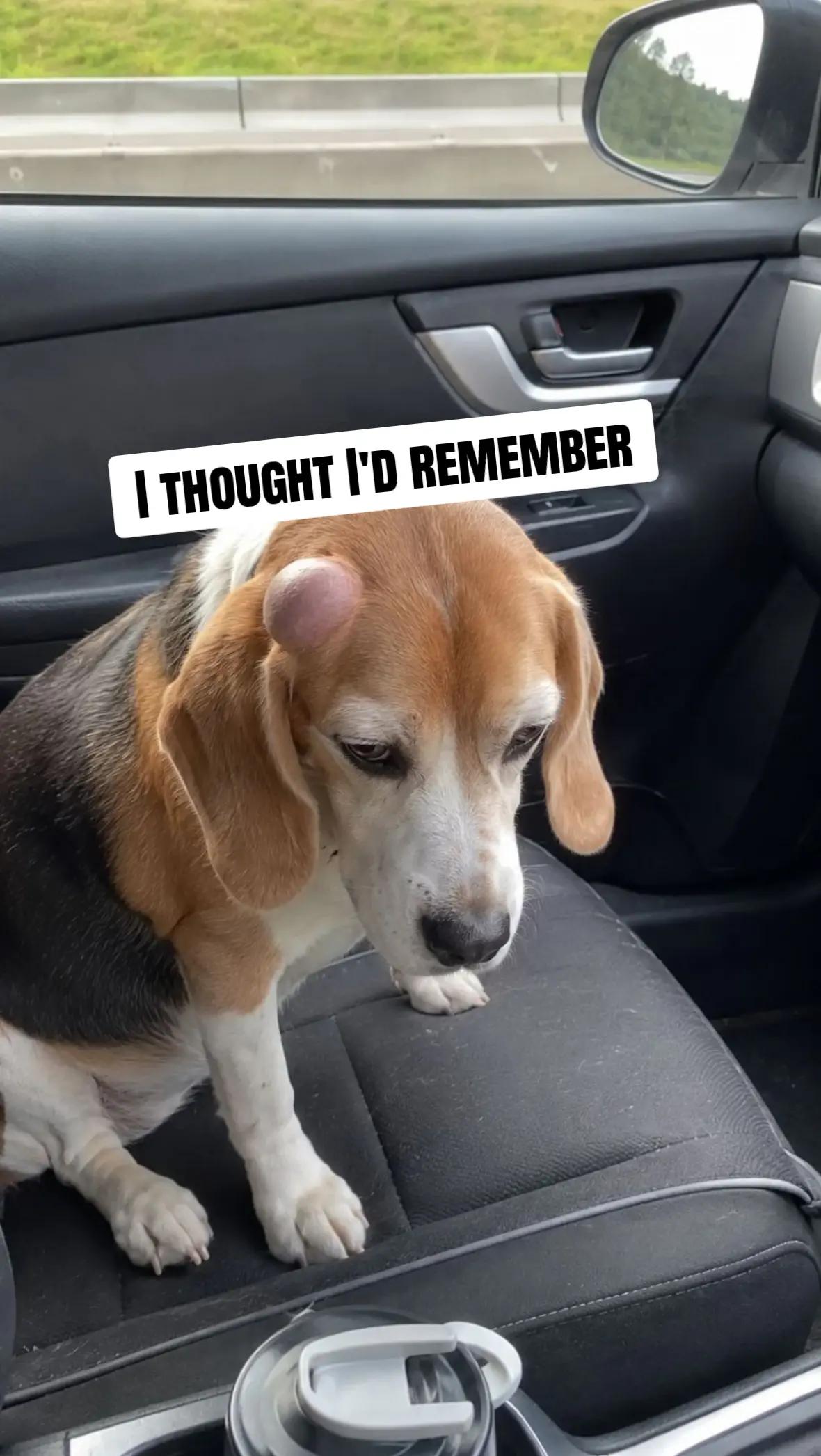 @OfficialDubbCapone