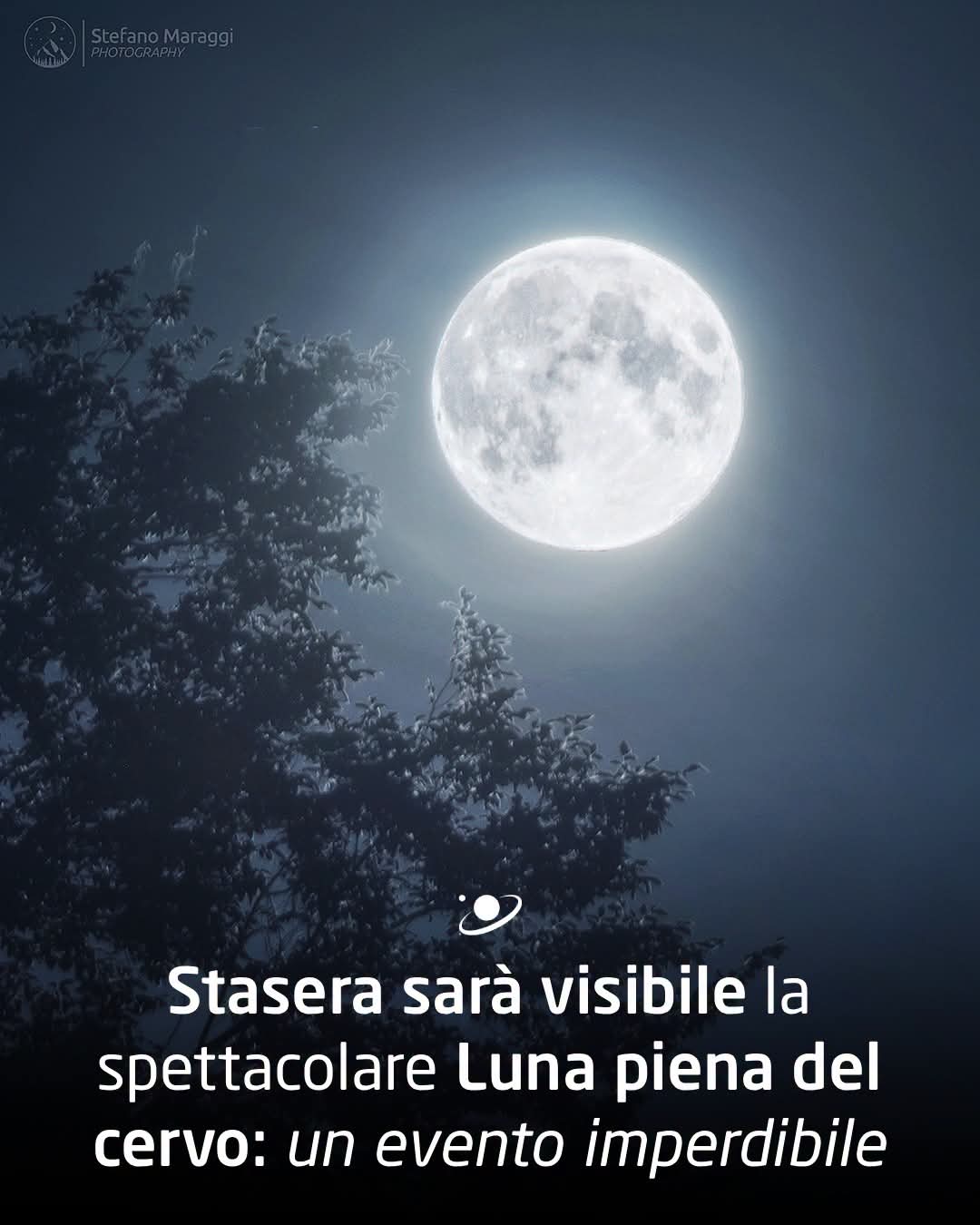 @Liliana Cavaliere