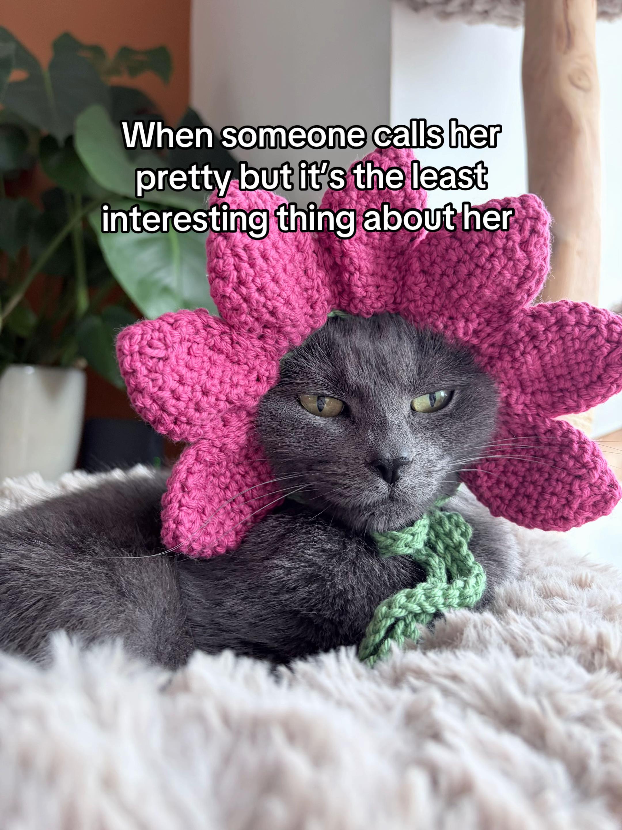 @Flowercat 🌸