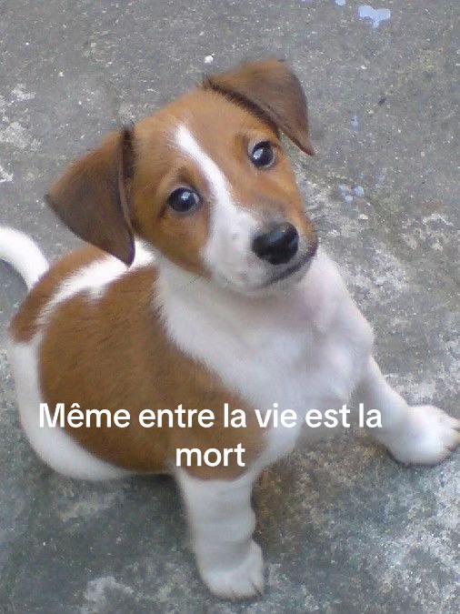 @L’๐ซ๐ท๐ช๐ธ