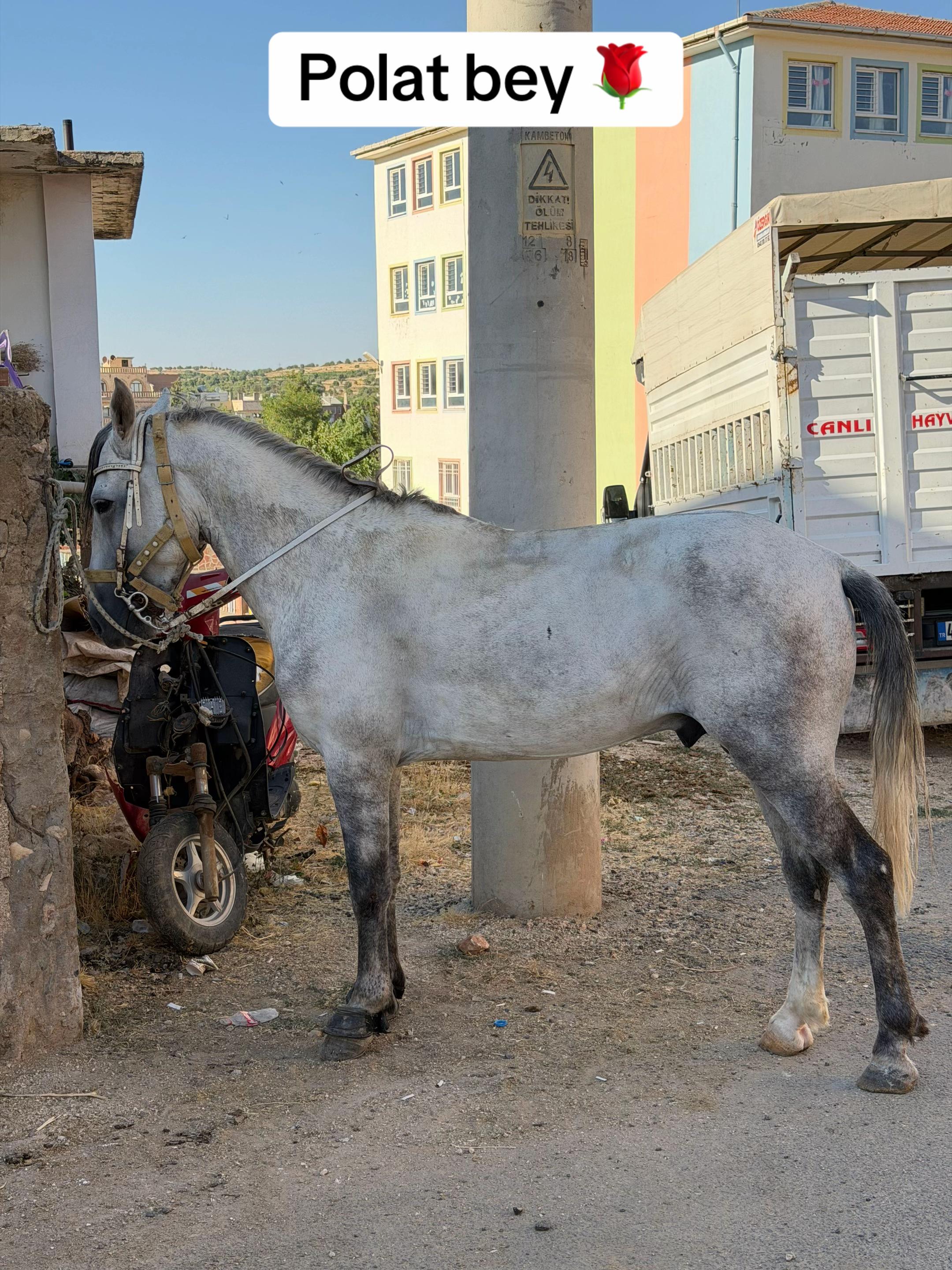 @Veysel Ağırman