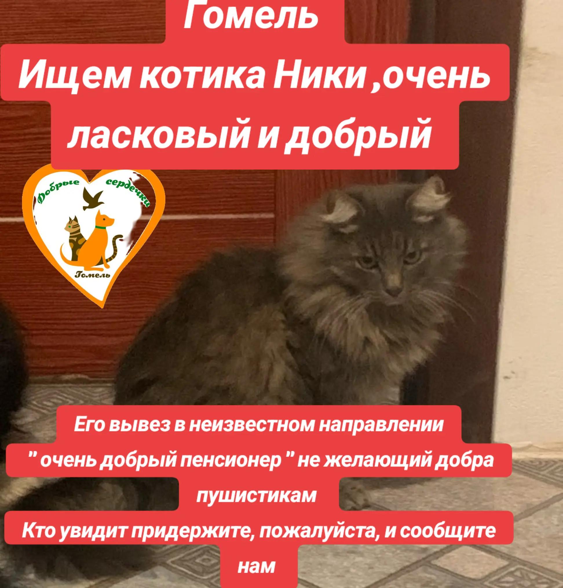 @Марина