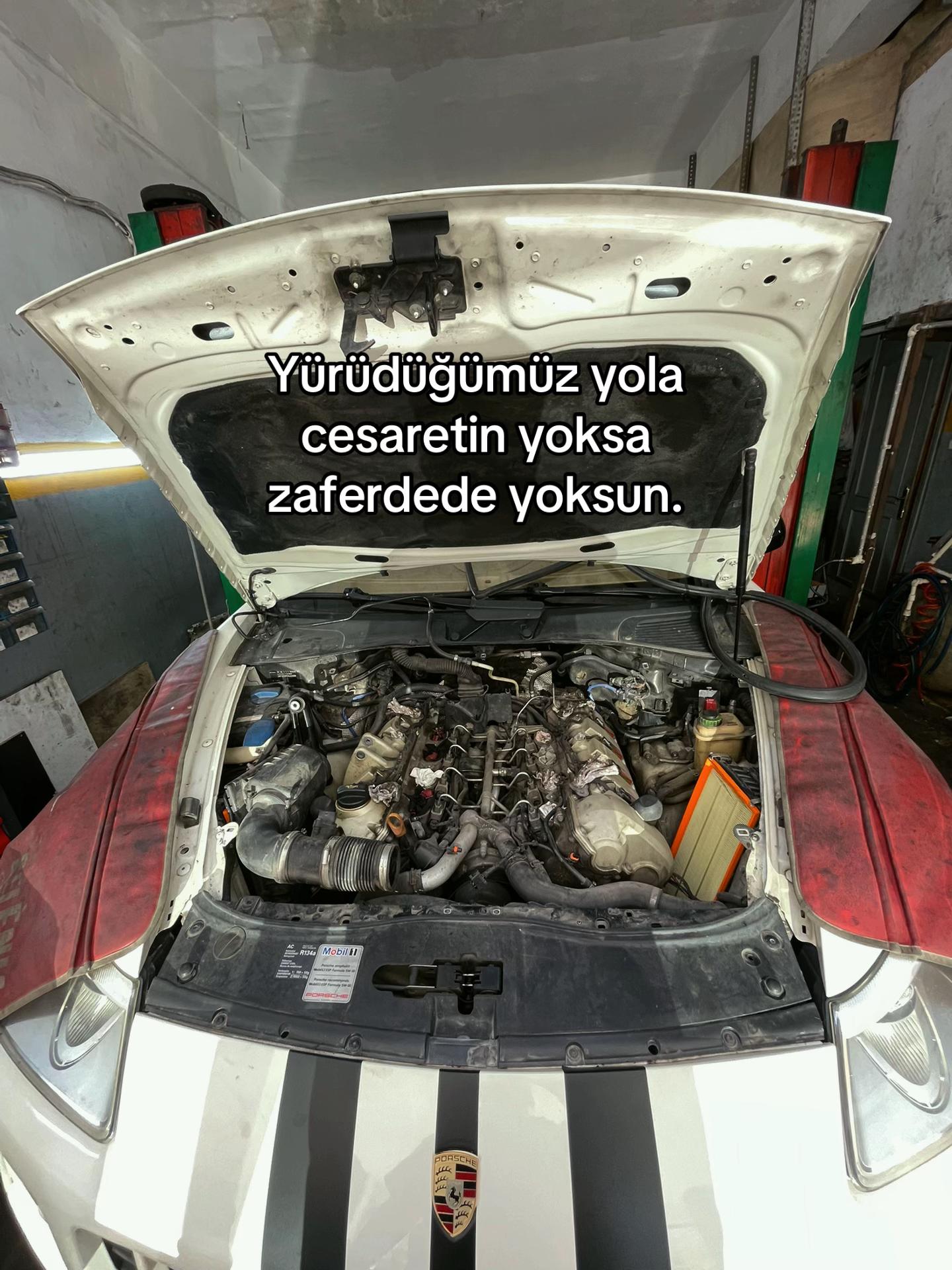 @Umut34