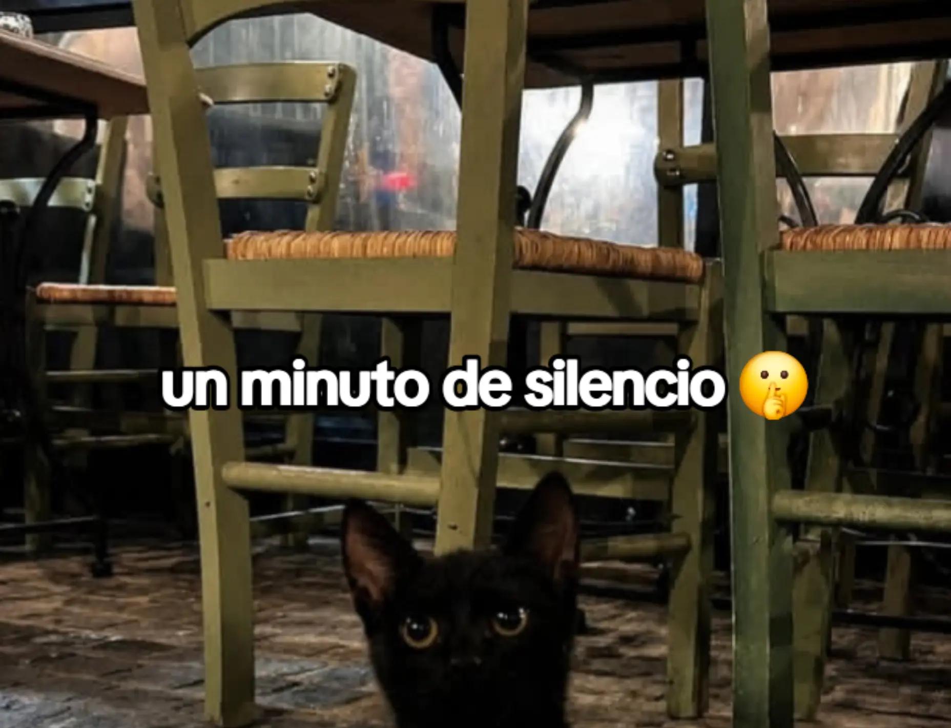 @VIRALEX🥏