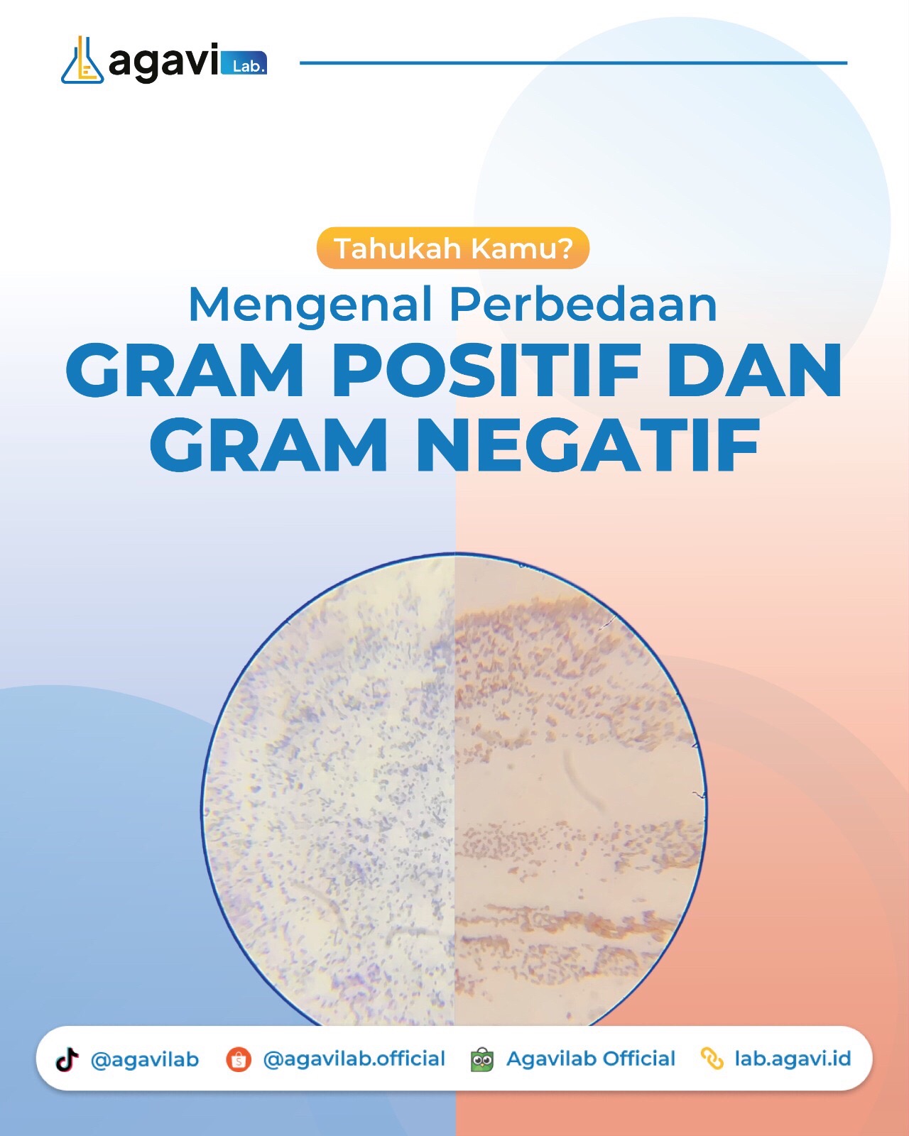 @Agavi Lab