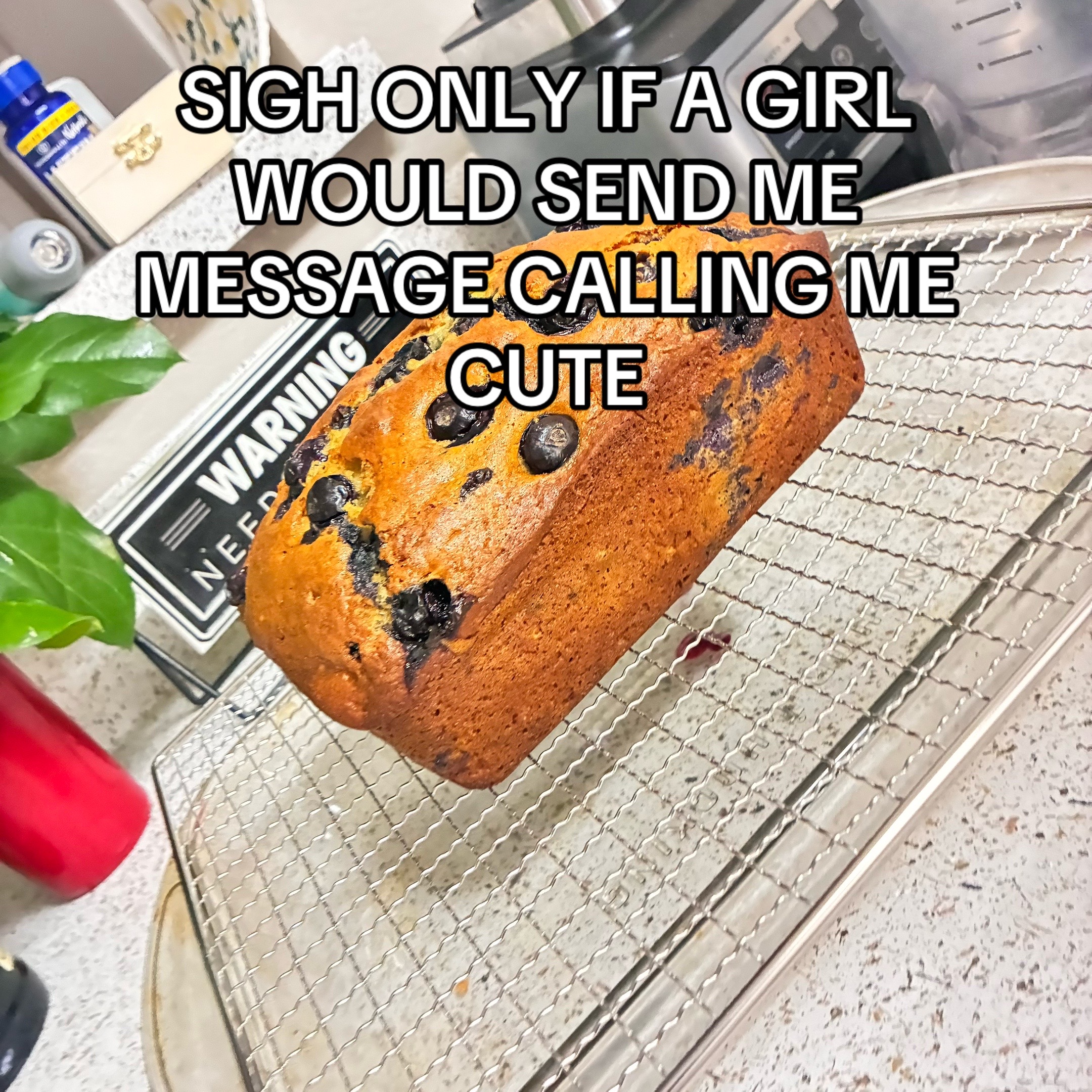 @◦•●◉✿ Ɇ𝙡ꪱʝąҺ ✿◉●•◦