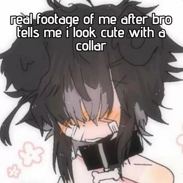 @Puppyboy