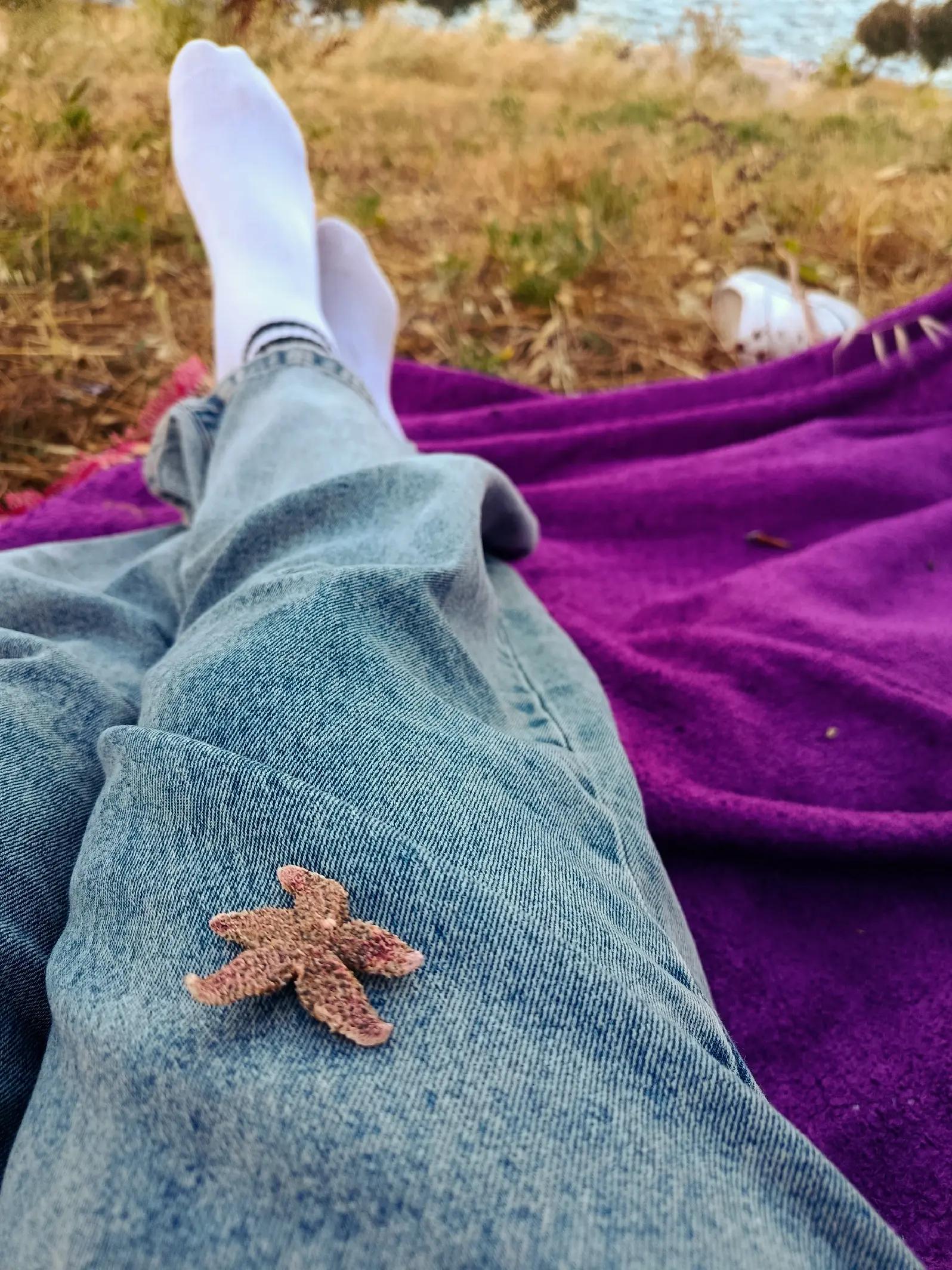 @🌟🐦🔥🇭 🇦 🇾 🇦 🇱 🐦🔥🌟